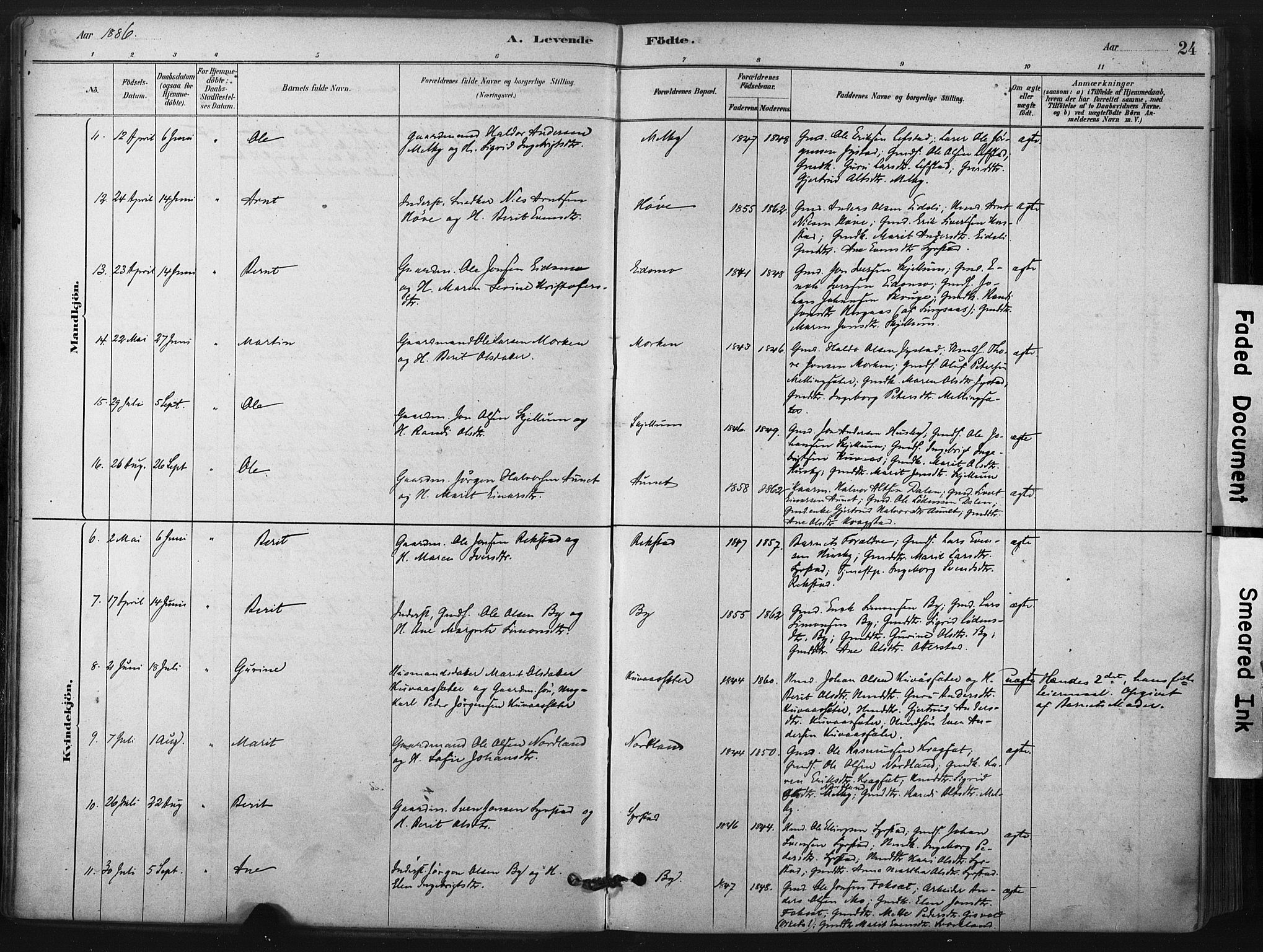 Ministerialprotokoller, klokkerbøker og fødselsregistre - Sør-Trøndelag, SAT/A-1456/667/L0795: Ministerialbok nr. 667A03, 1879-1907, s. 24