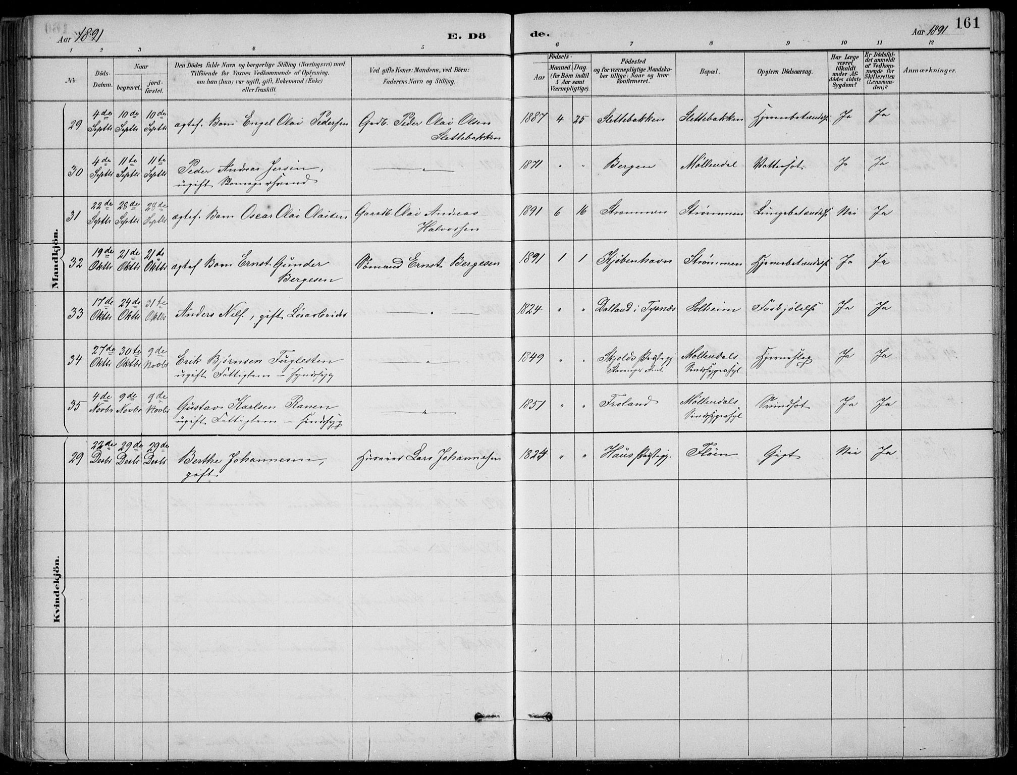 Årstad Sokneprestembete, AV/SAB-A-79301/H/Hab/L0011: Klokkerbok nr. B 1, 1886-1901, s. 161