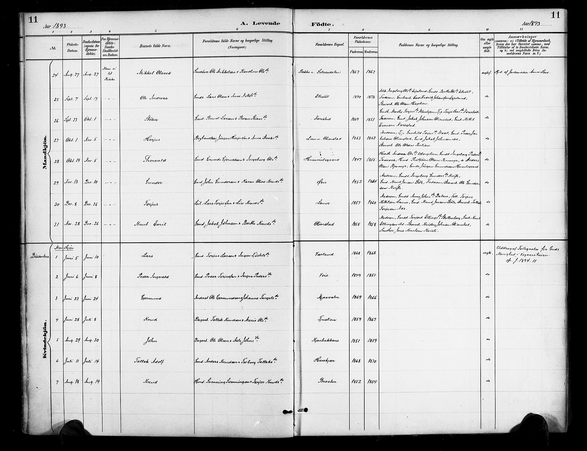 Gjerstad sokneprestkontor, AV/SAK-1111-0014/F/Fa/Fab/L0005: Ministerialbok nr. A 5, 1891-1908, s. 11