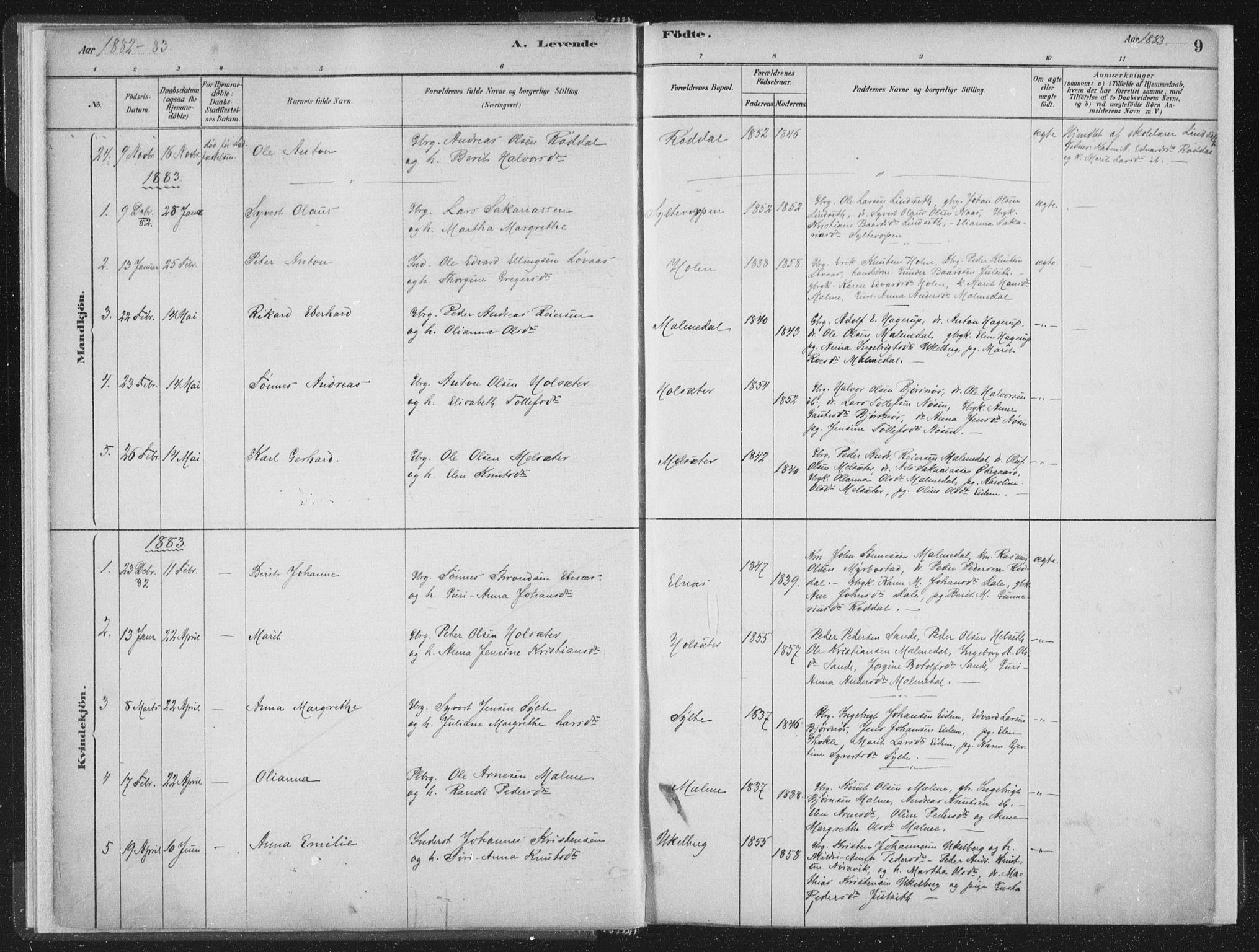 Ministerialprotokoller, klokkerbøker og fødselsregistre - Møre og Romsdal, AV/SAT-A-1454/564/L0740: Ministerialbok nr. 564A01, 1880-1899, s. 9