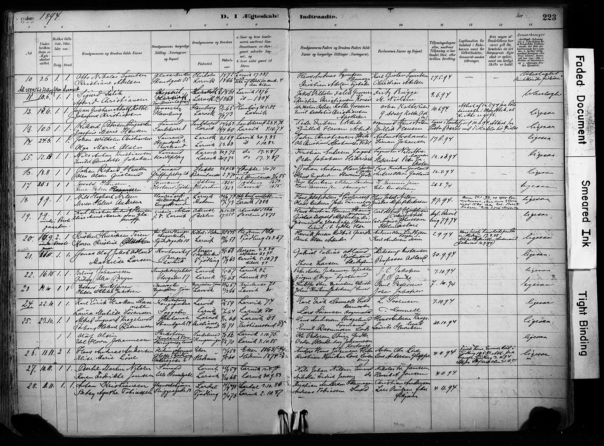 Larvik kirkebøker, AV/SAKO-A-352/F/Fa/L0008: Ministerialbok nr. I 8, 1884-1902, s. 223