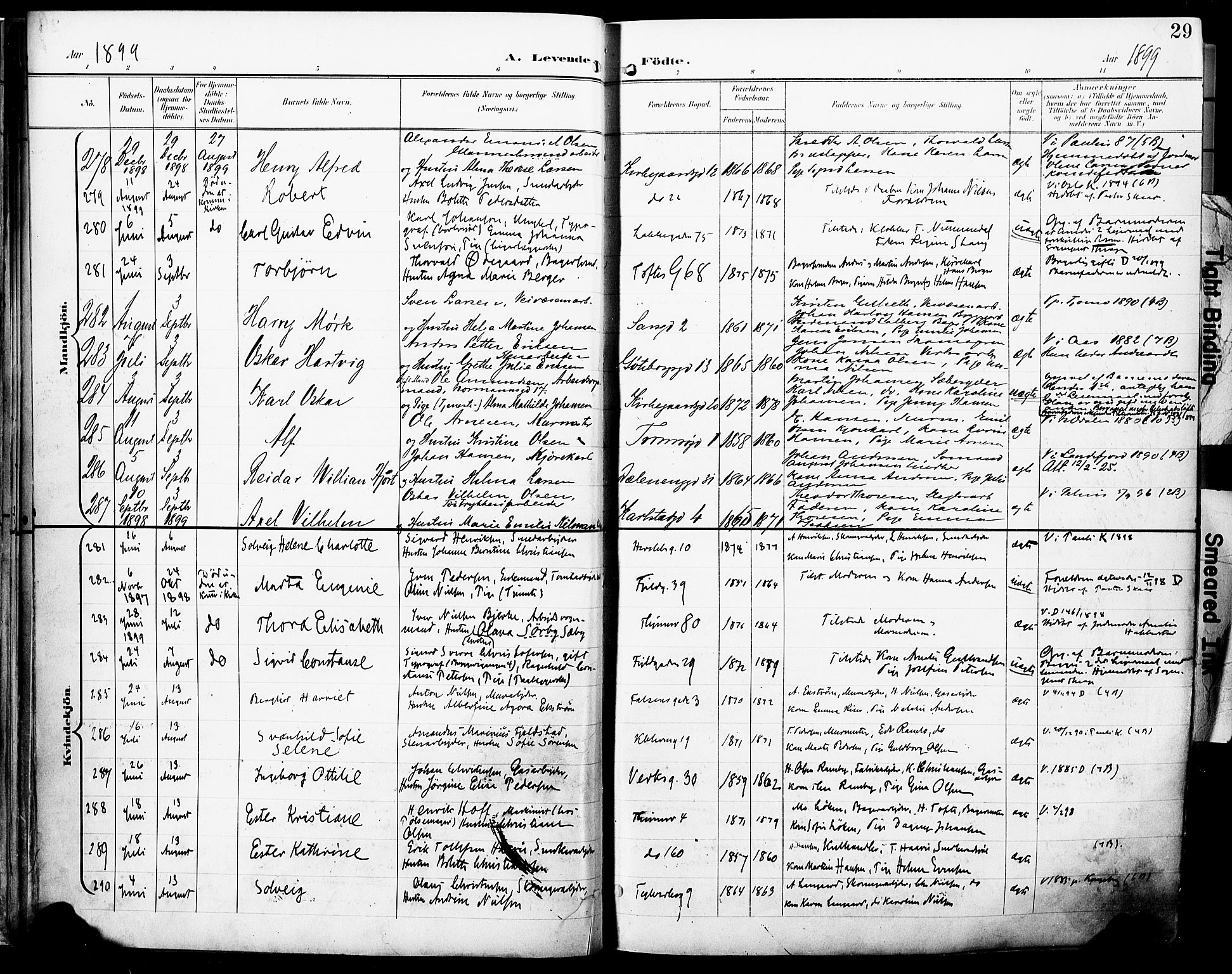 Petrus prestekontor Kirkebøker, AV/SAO-A-10872/F/Fa/L0005: Ministerialbok nr. 5, 1899-1903, s. 29