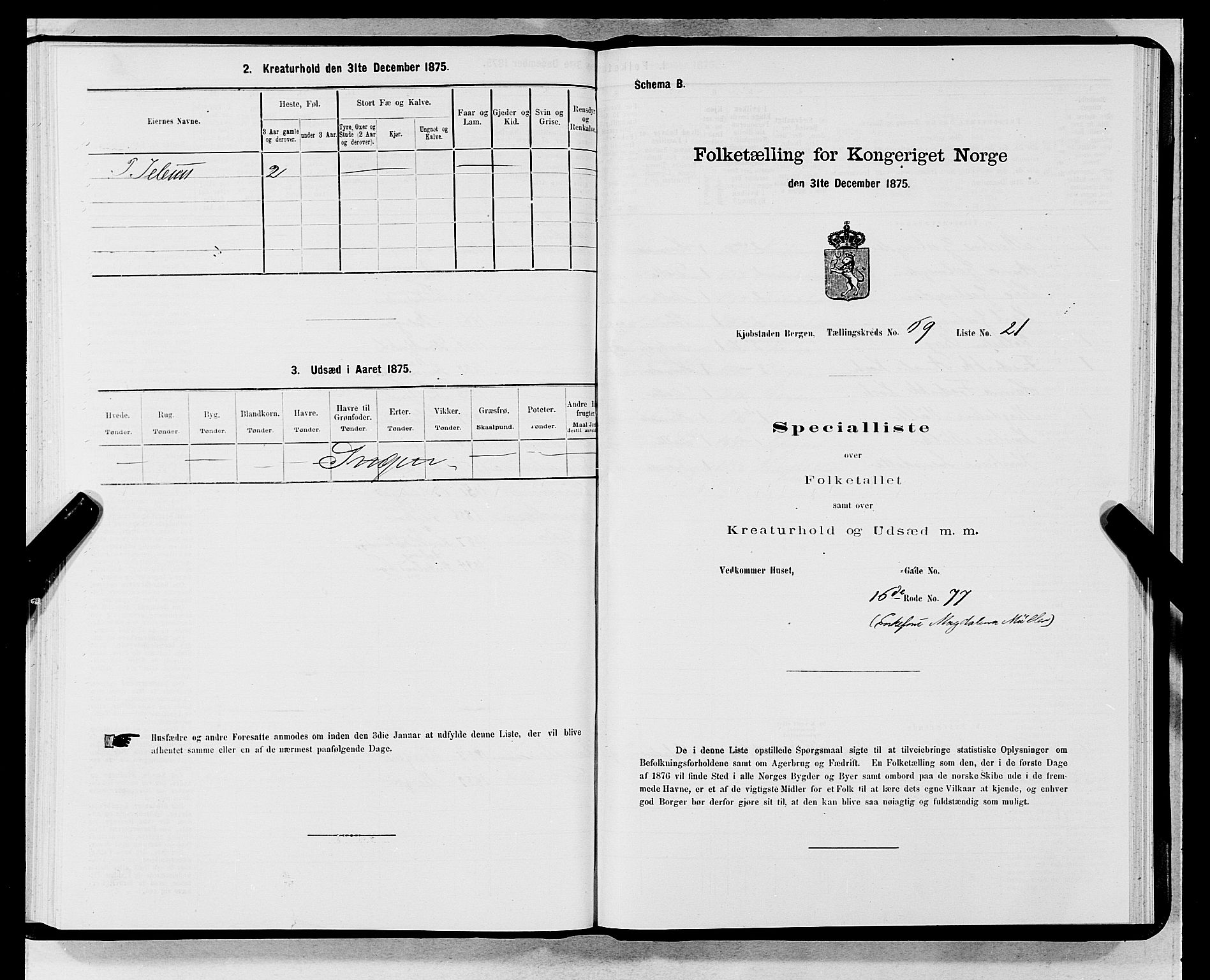 SAB, Folketelling 1875 for 1301 Bergen kjøpstad, 1875, s. 3697