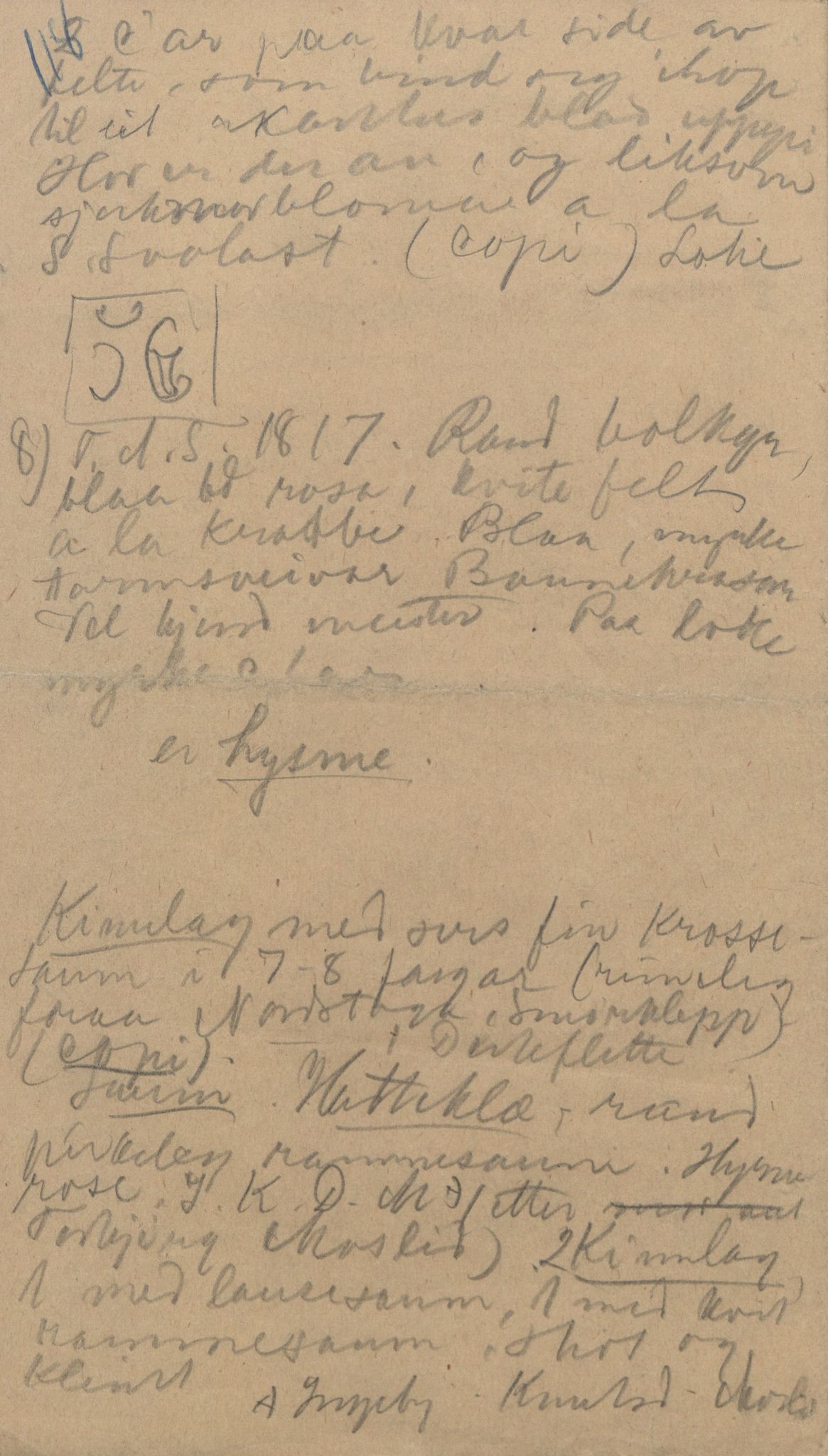 Rikard Berge, TEMU/TGM-A-1003/F/L0004/0051: 101-159 / 154 Grungedal, Vinje o.a. Sondre dreparen. Ætteliste, 1903-1906, s. 118