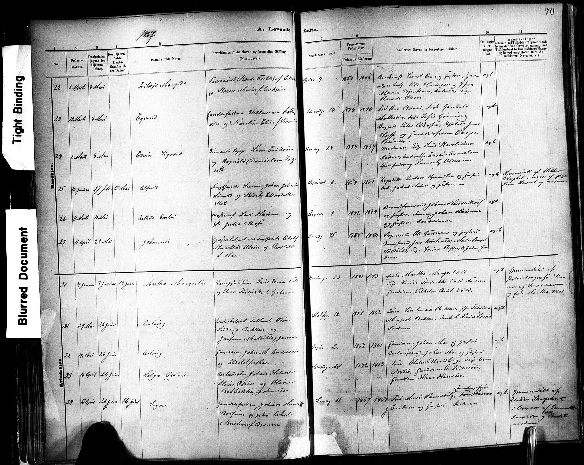 Ministerialprotokoller, klokkerbøker og fødselsregistre - Sør-Trøndelag, SAT/A-1456/602/L0119: Ministerialbok nr. 602A17, 1880-1901, s. 70