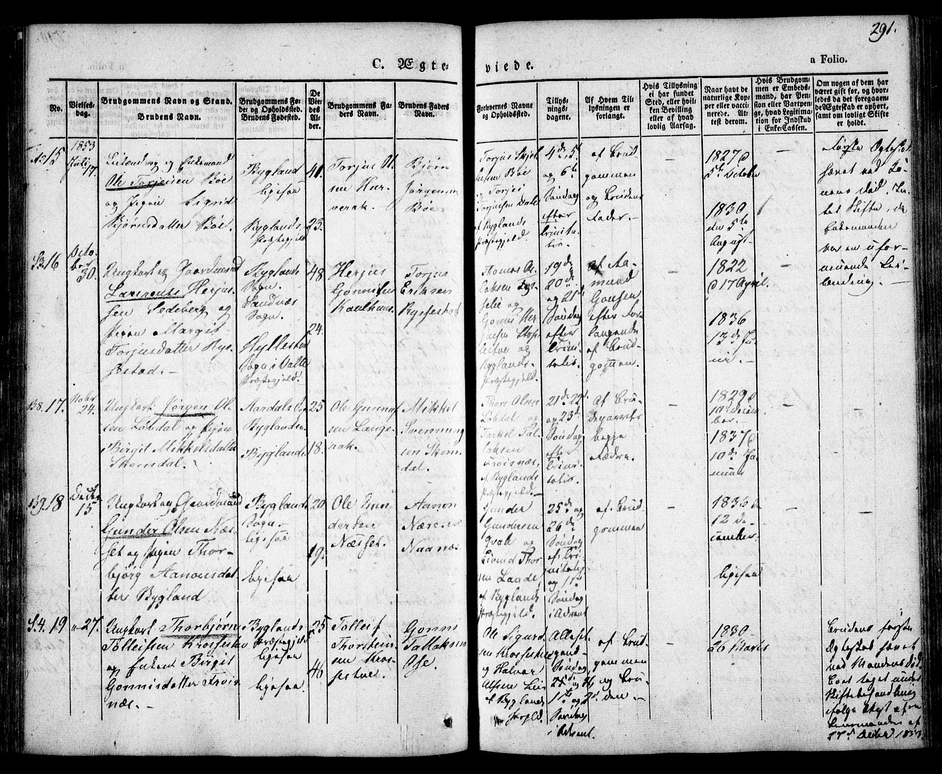 Bygland sokneprestkontor, AV/SAK-1111-0006/F/Fa/Fab/L0004: Ministerialbok nr. A 4, 1842-1858, s. 291