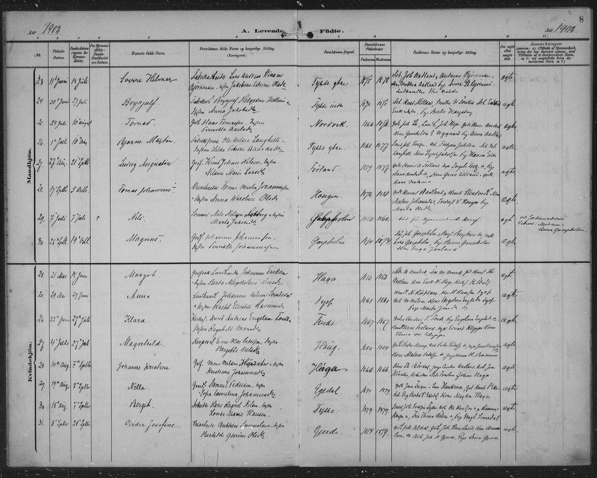 Samnanger Sokneprestembete, AV/SAB-A-77501/H/Haa: Ministerialbok nr. A 2, 1902-1918, s. 8