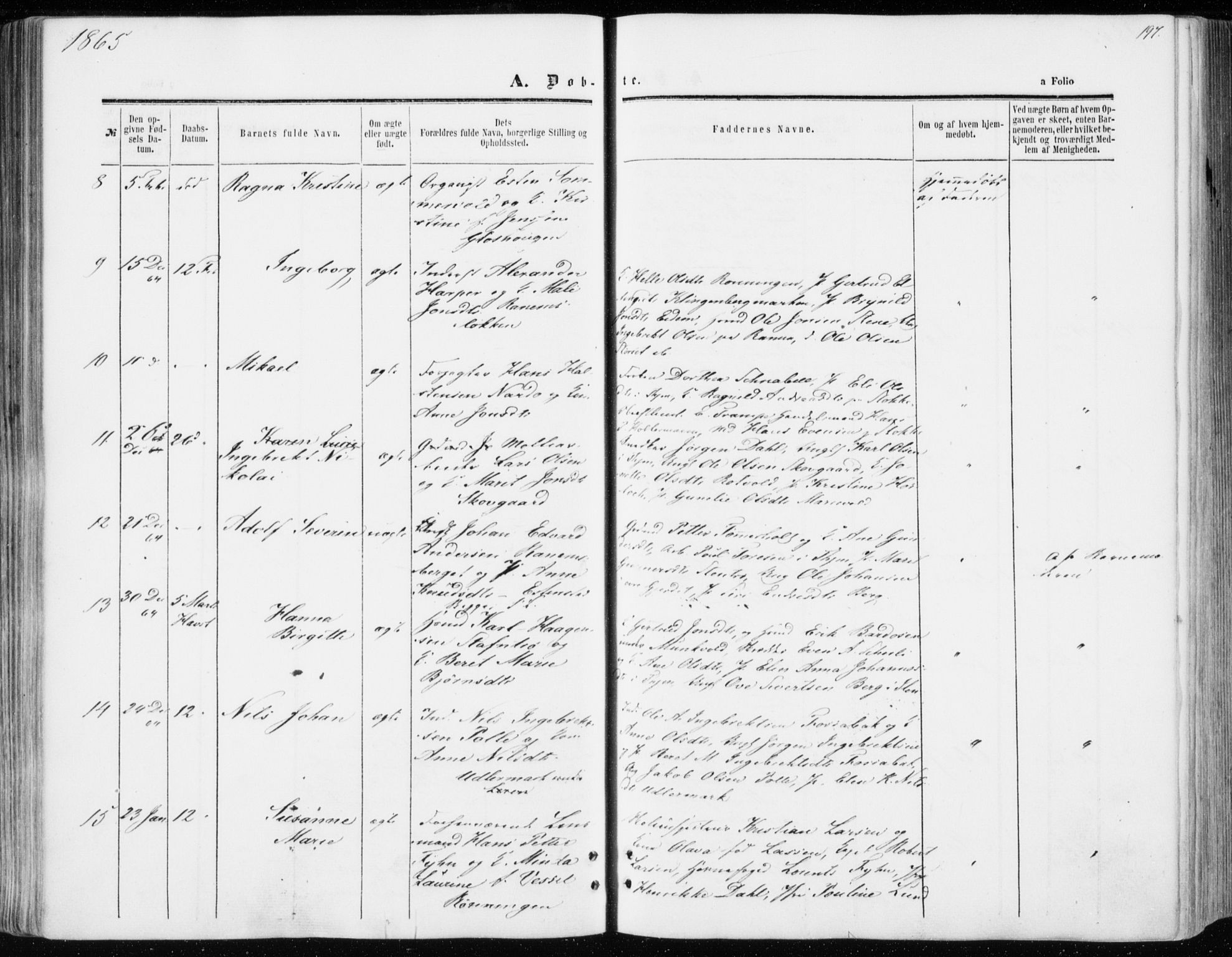 Ministerialprotokoller, klokkerbøker og fødselsregistre - Sør-Trøndelag, SAT/A-1456/606/L0292: Ministerialbok nr. 606A07, 1856-1865, s. 197