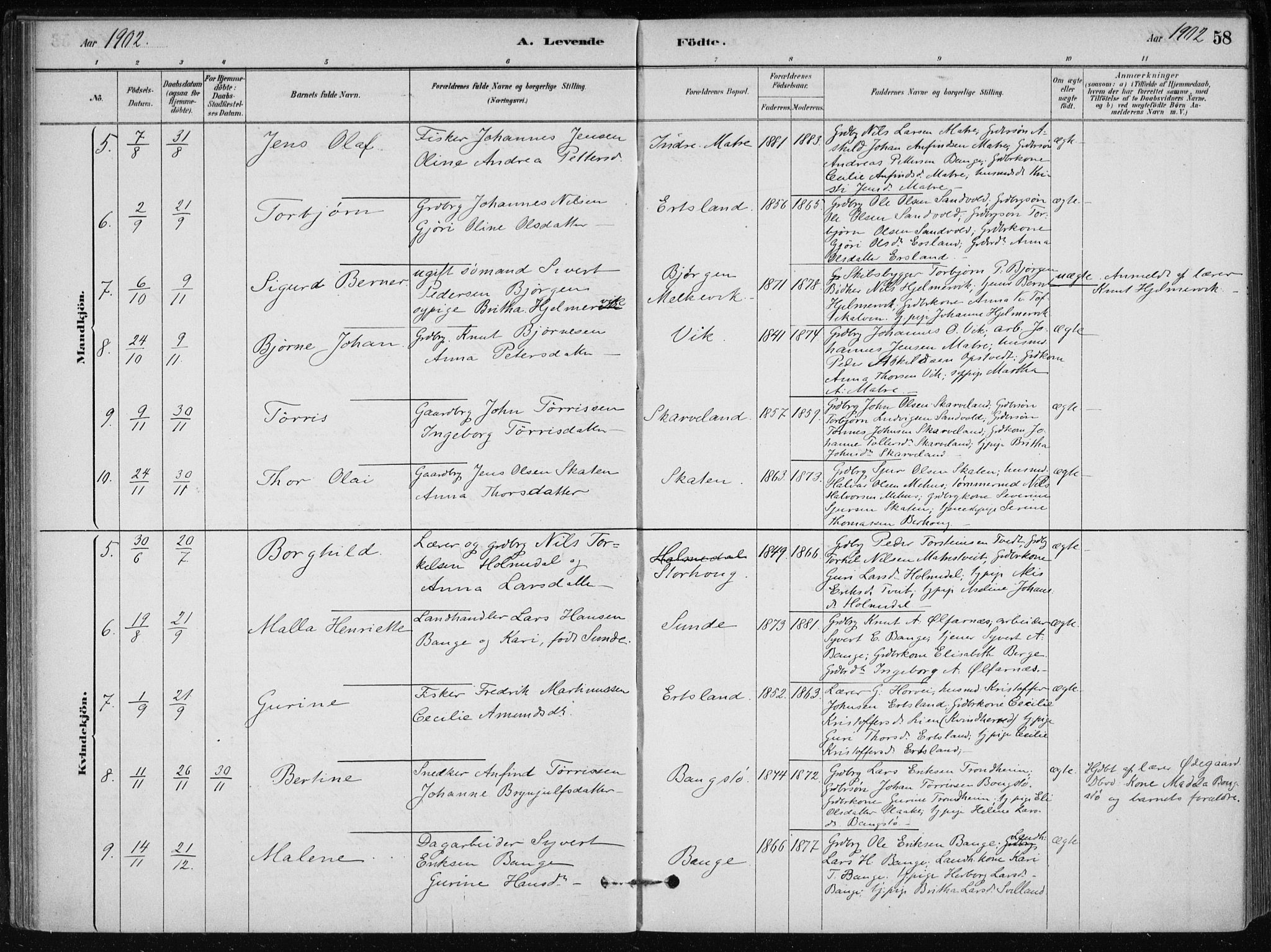 Skånevik sokneprestembete, AV/SAB-A-77801/H/Haa: Ministerialbok nr. C  1, 1879-1917, s. 58