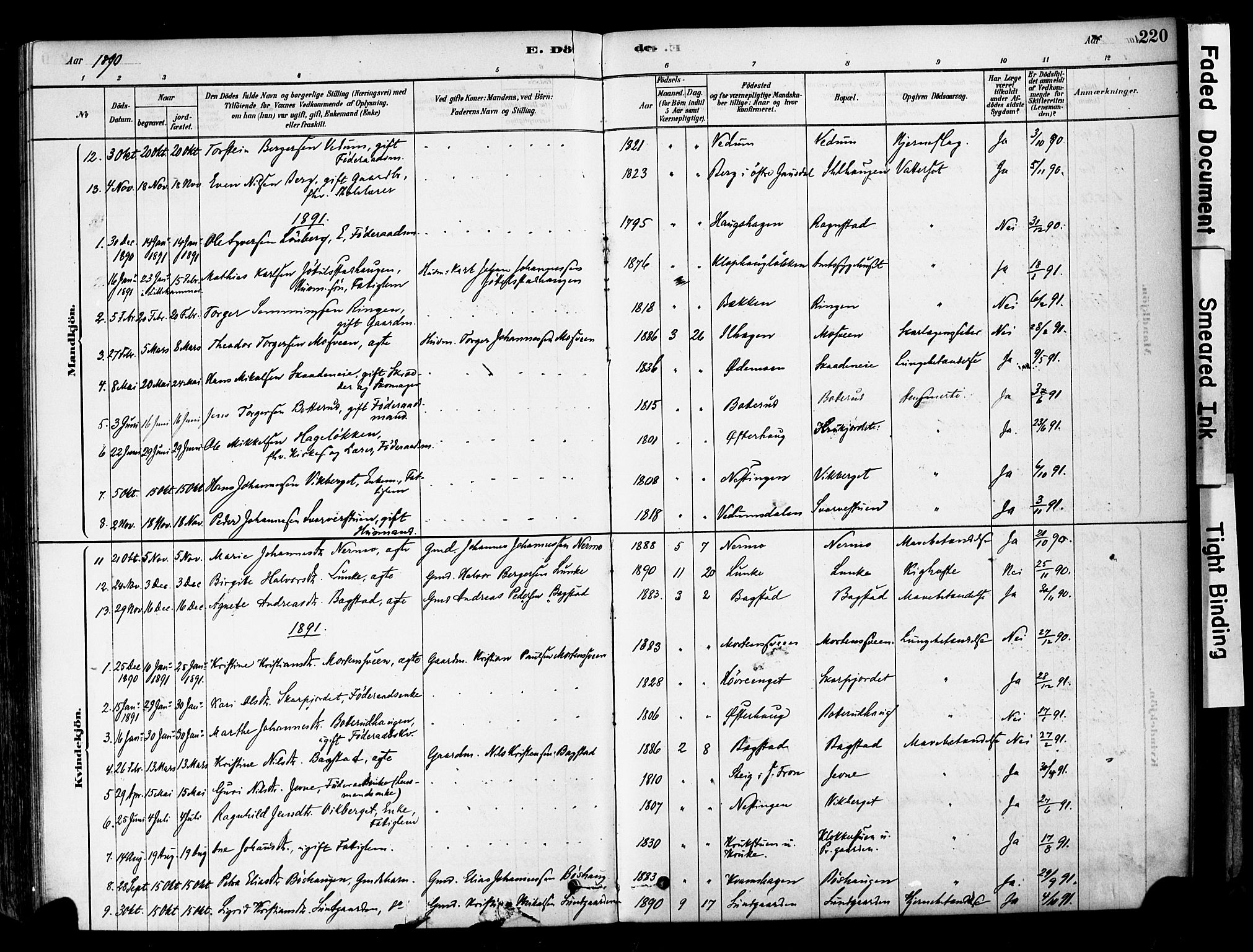 Øyer prestekontor, AV/SAH-PREST-084/H/Ha/Haa/L0008: Ministerialbok nr. 8, 1878-1897, s. 220