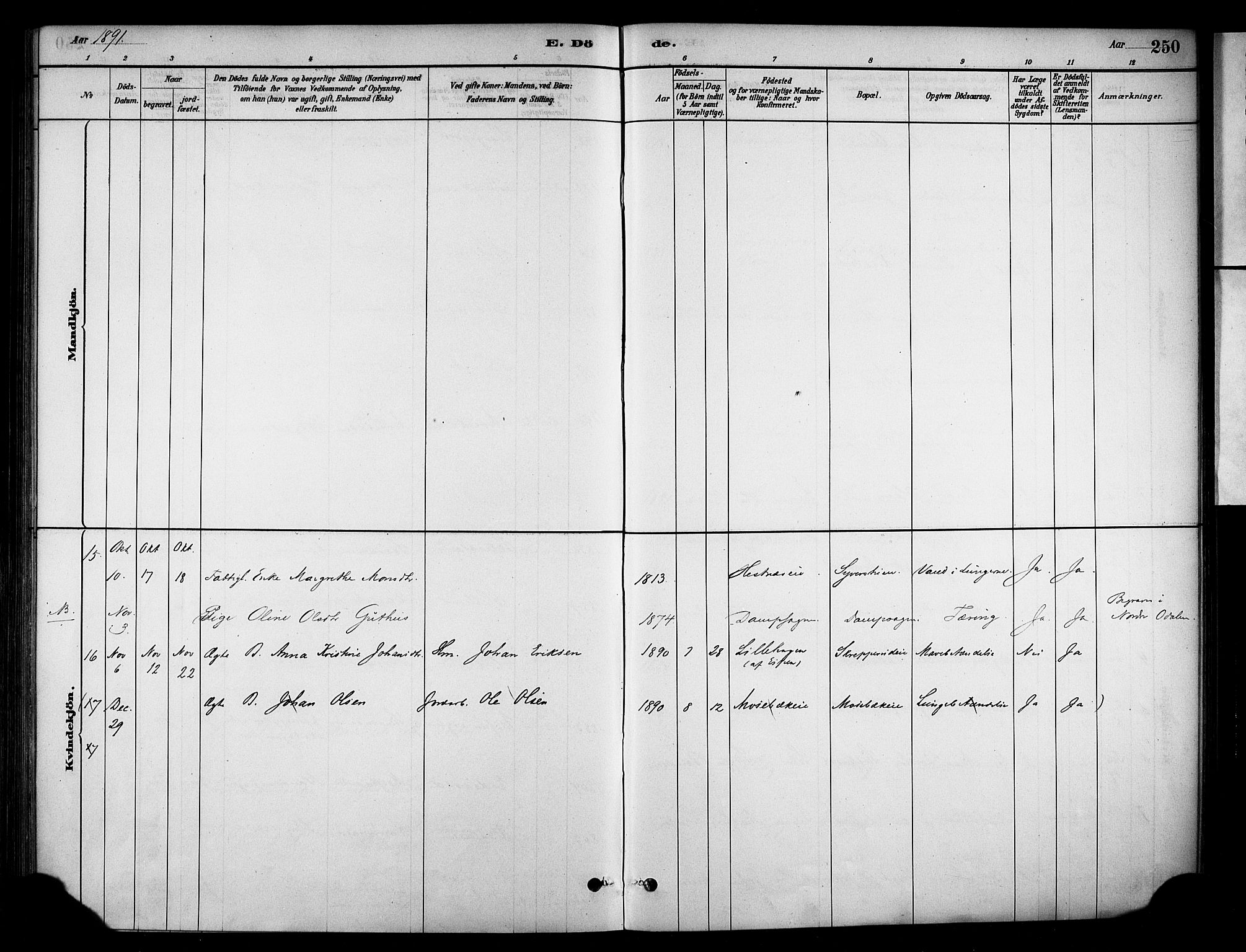 Stange prestekontor, SAH/PREST-002/K/L0018: Ministerialbok nr. 18, 1880-1896, s. 250