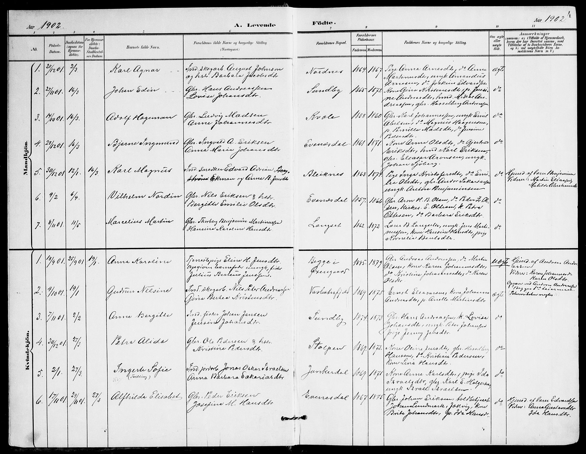 Ministerialprotokoller, klokkerbøker og fødselsregistre - Nordland, AV/SAT-A-1459/847/L0672: Ministerialbok nr. 847A12, 1902-1919, s. 4