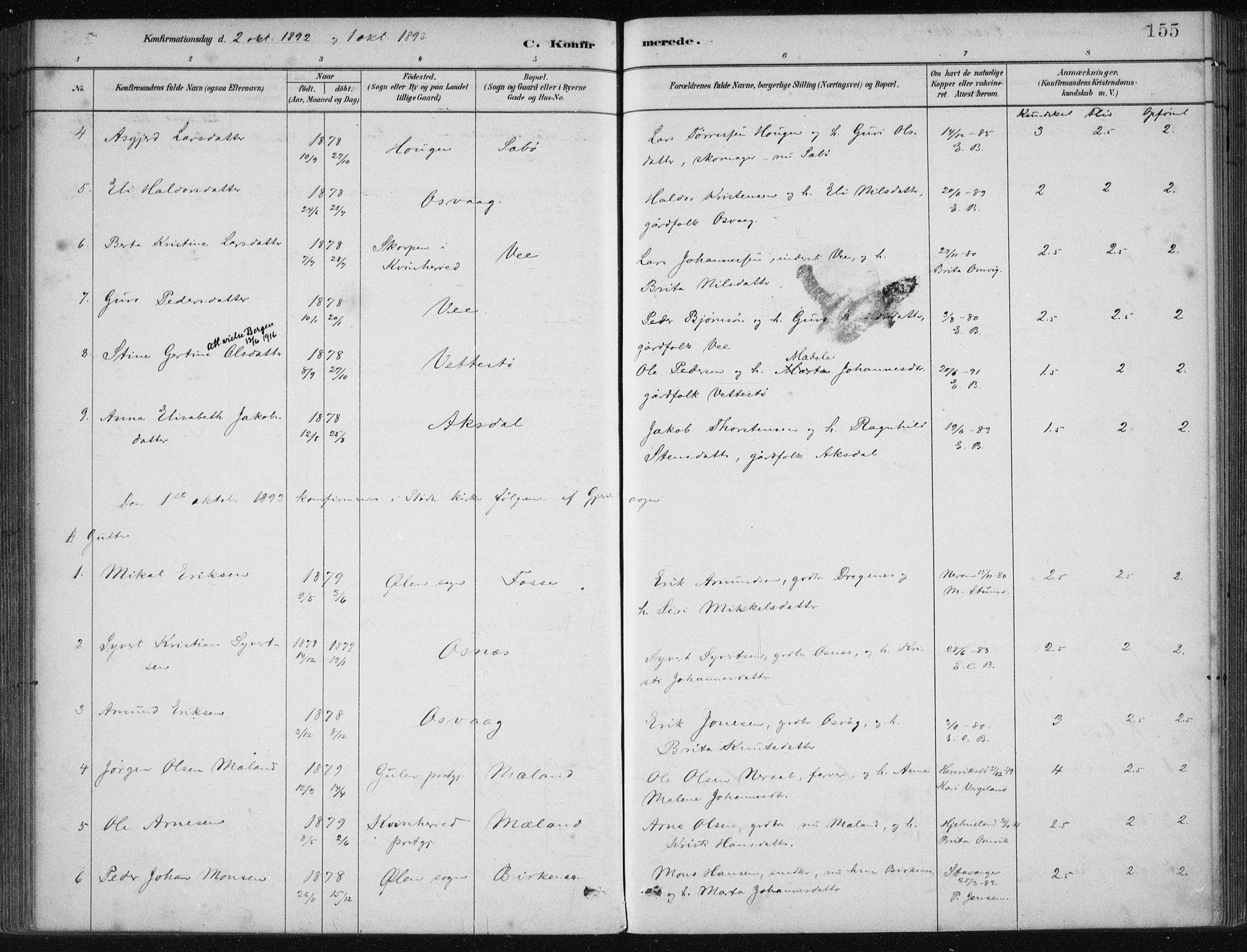 Etne sokneprestembete, AV/SAB-A-75001/H/Haa: Ministerialbok nr. C  1, 1879-1919, s. 155