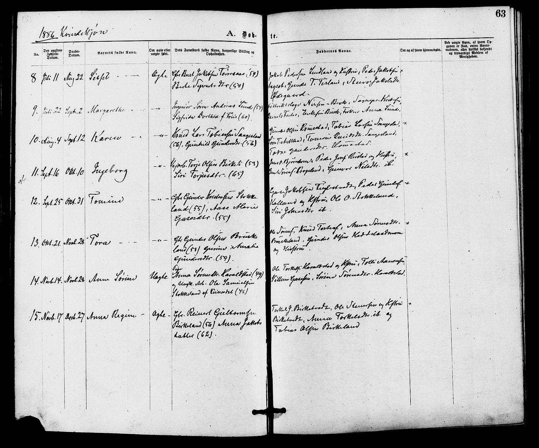 Holum sokneprestkontor, AV/SAK-1111-0022/F/Fa/Fab/L0006: Ministerialbok nr. A 6, 1875-1886, s. 63