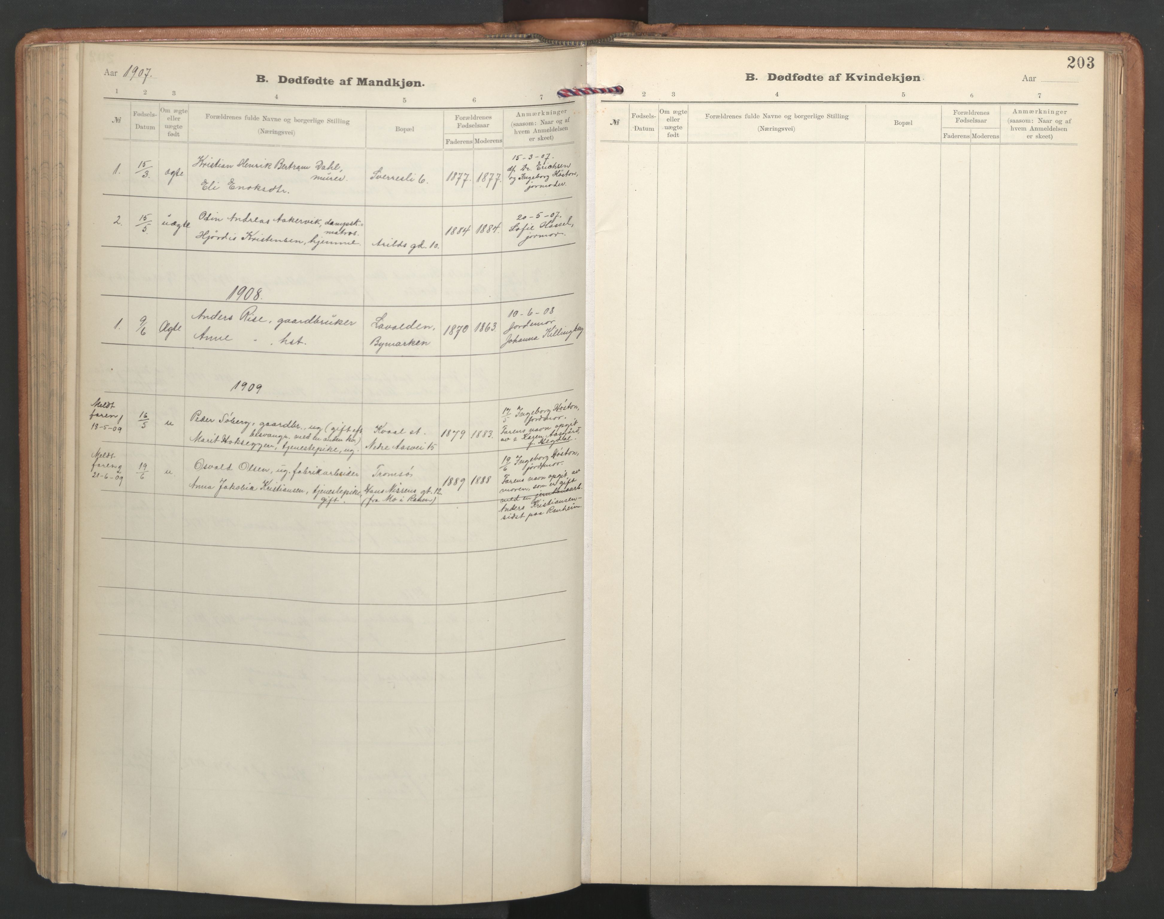 Ministerialprotokoller, klokkerbøker og fødselsregistre - Sør-Trøndelag, AV/SAT-A-1456/603/L0173: Klokkerbok nr. 603C01, 1907-1962, s. 203