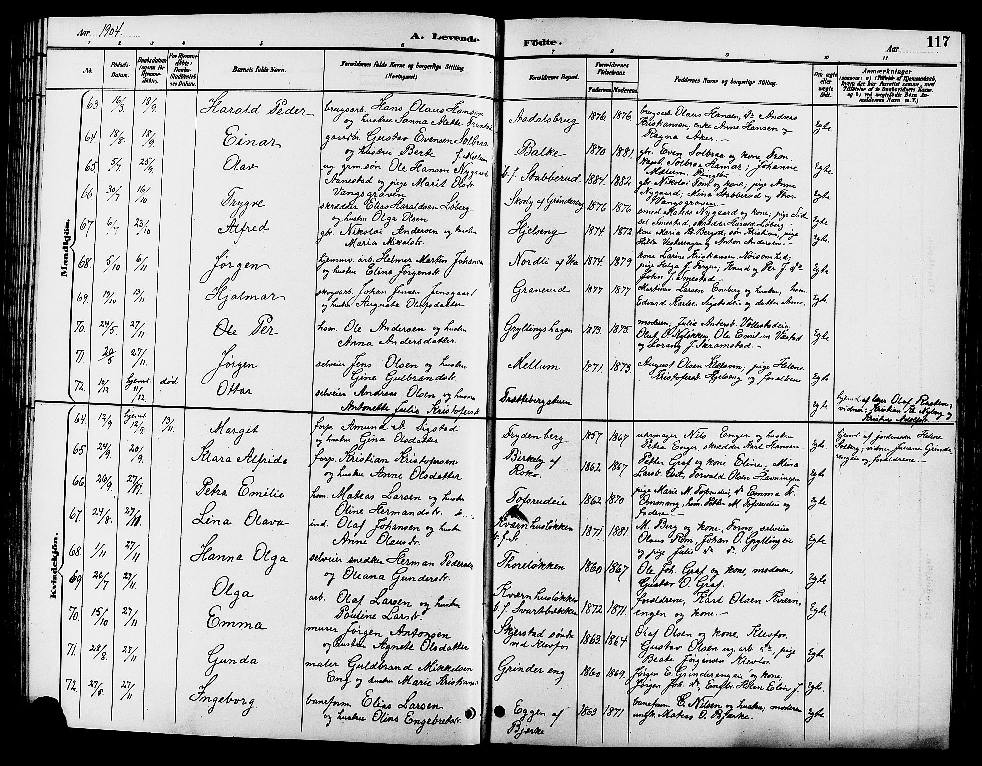 Løten prestekontor, AV/SAH-PREST-022/L/La/L0006: Klokkerbok nr. 6, 1892-1909, s. 117