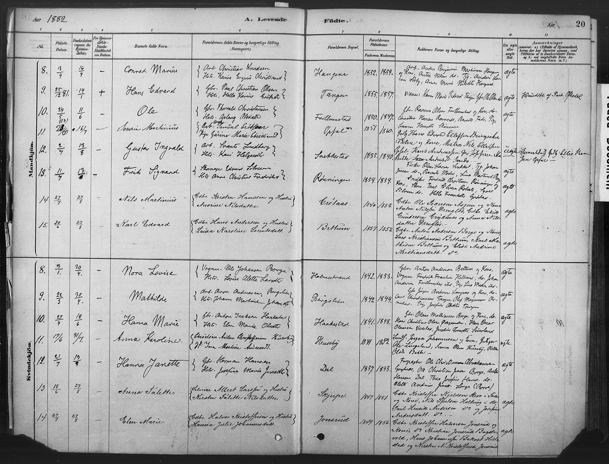 Våle kirkebøker, AV/SAKO-A-334/F/Fa/L0011: Ministerialbok nr. I 11, 1878-1906, s. 20