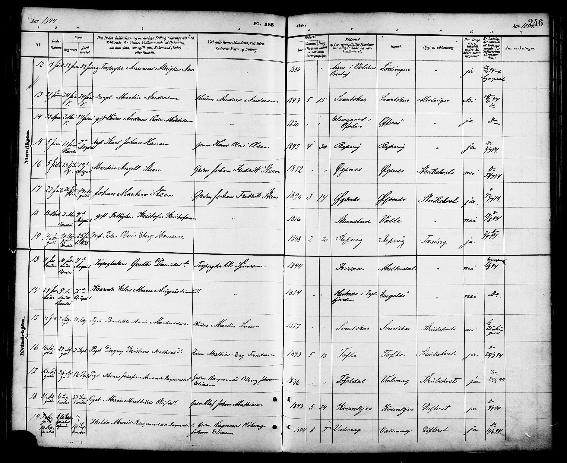 Ministerialprotokoller, klokkerbøker og fødselsregistre - Nordland, AV/SAT-A-1459/872/L1035: Ministerialbok nr. 872A10, 1884-1896, s. 246