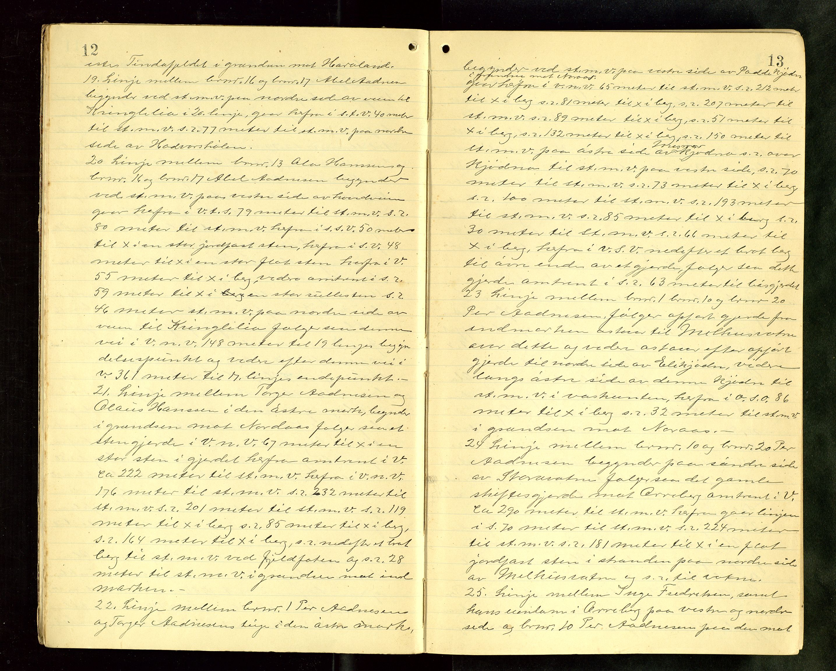 Rogaland jordskifterett, AV/SAST-A-102426/Oa/L0074: Forhandlingsprotokoll, 1918-1921, s. 12-13