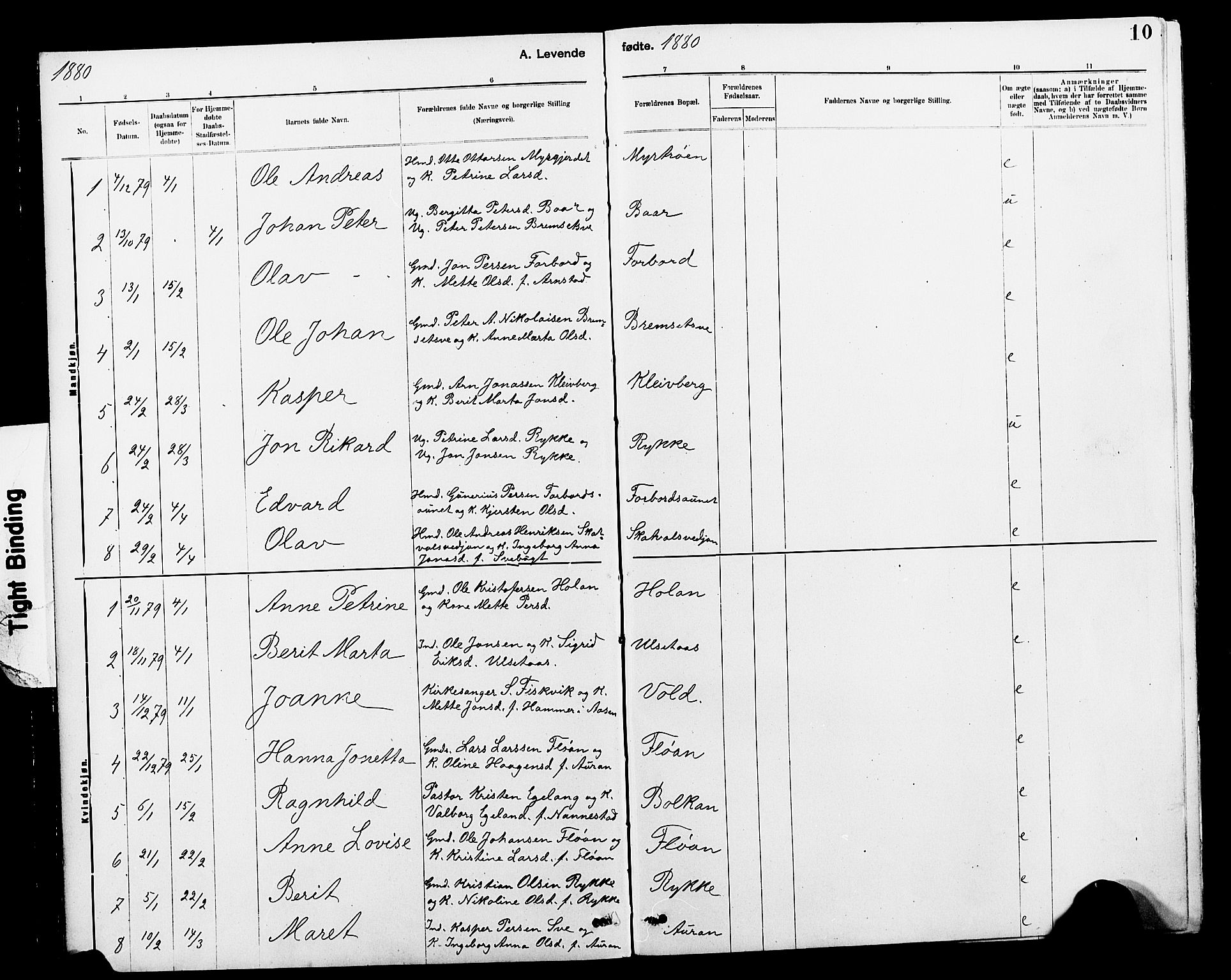 Ministerialprotokoller, klokkerbøker og fødselsregistre - Nord-Trøndelag, AV/SAT-A-1458/712/L0103: Klokkerbok nr. 712C01, 1878-1917, s. 10