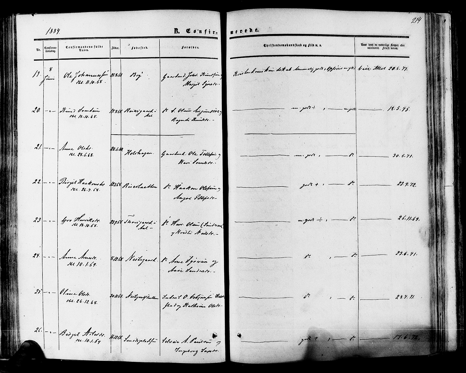 Hol kirkebøker, SAKO/A-227/F/Fa/L0002: Ministerialbok nr. I 2, 1870-1886, s. 214