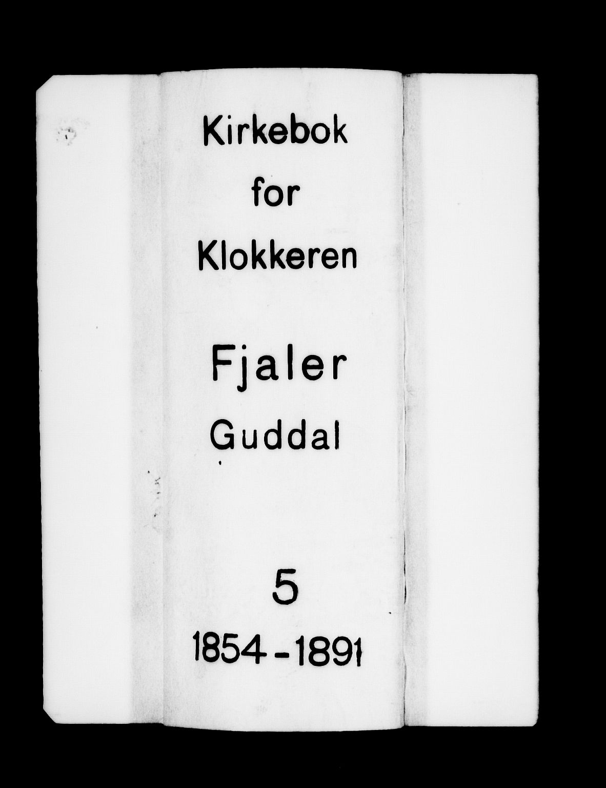 Fjaler sokneprestembete, SAB/A-79801/H/Hab/Habd/L0001: Klokkerbok nr. D 1, 1854-1891