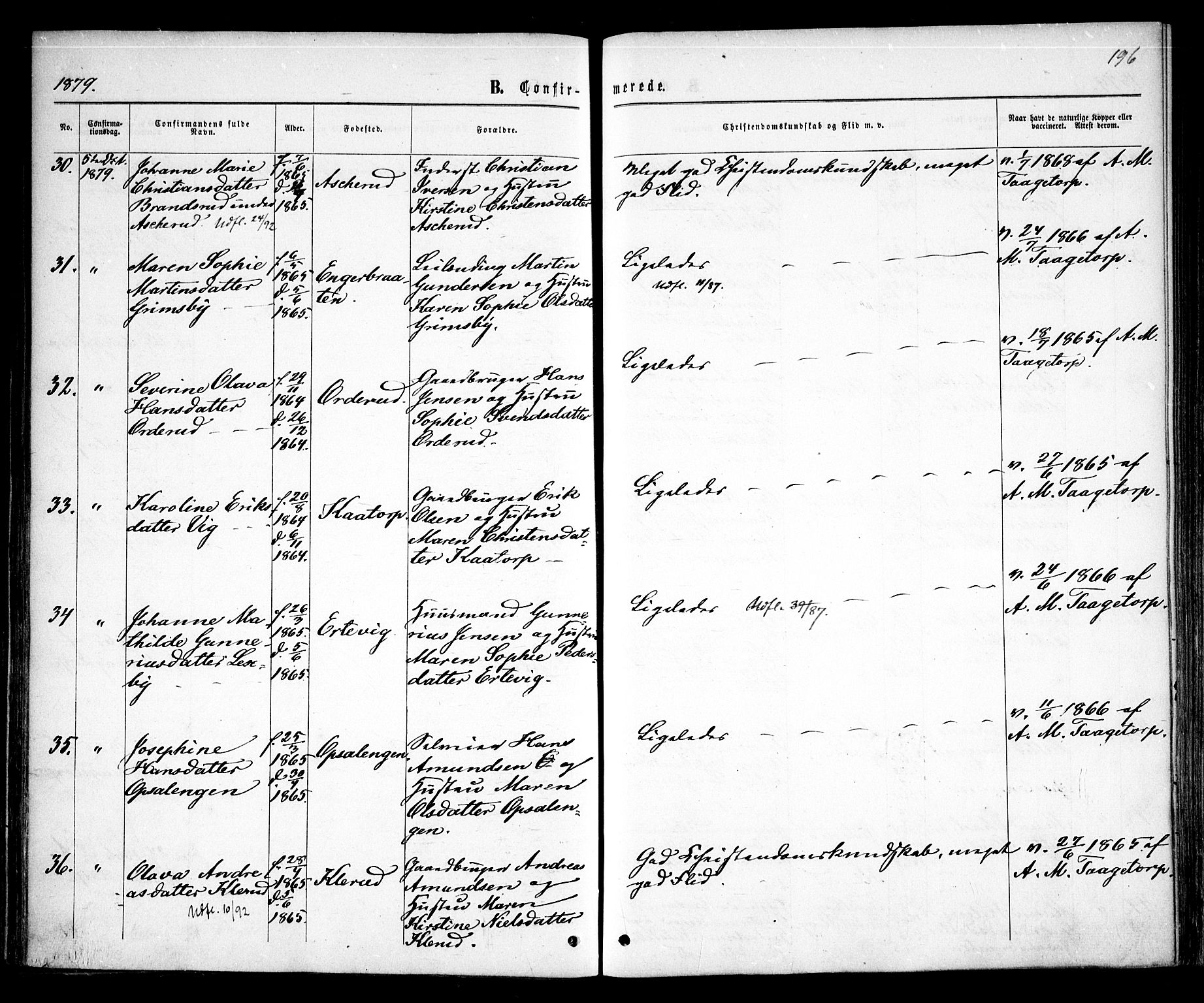 Rødenes prestekontor Kirkebøker, AV/SAO-A-2005/F/Fa/L0008: Ministerialbok nr. I 8, 1869-1879, s. 196