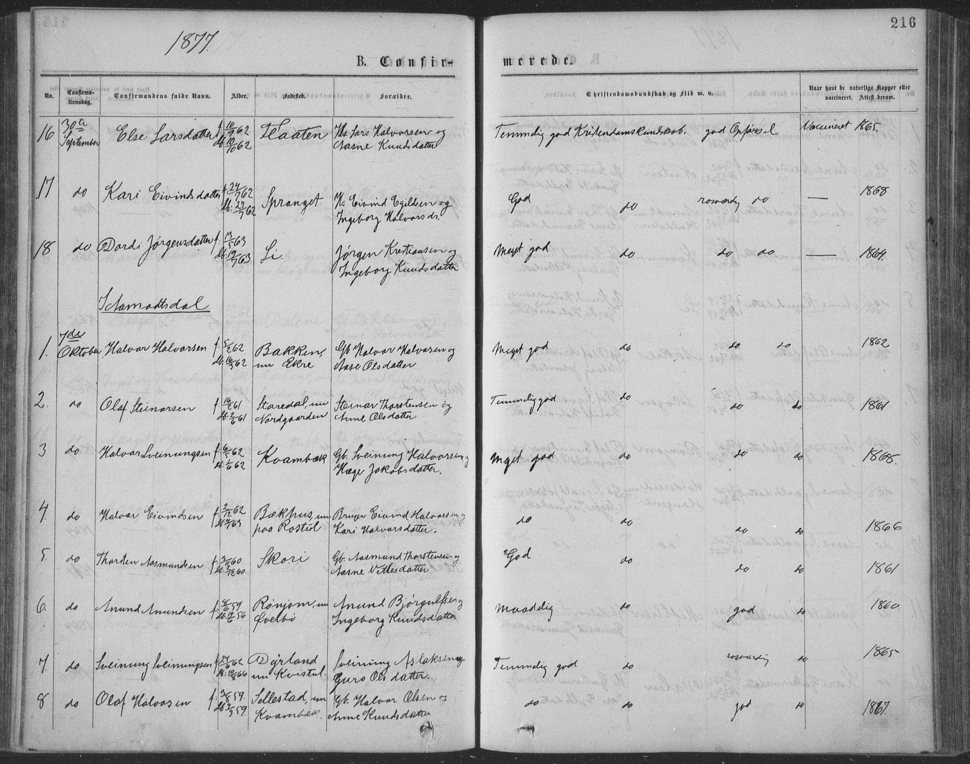 Seljord kirkebøker, AV/SAKO-A-20/F/Fa/L0014: Ministerialbok nr. I 14, 1877-1886, s. 216