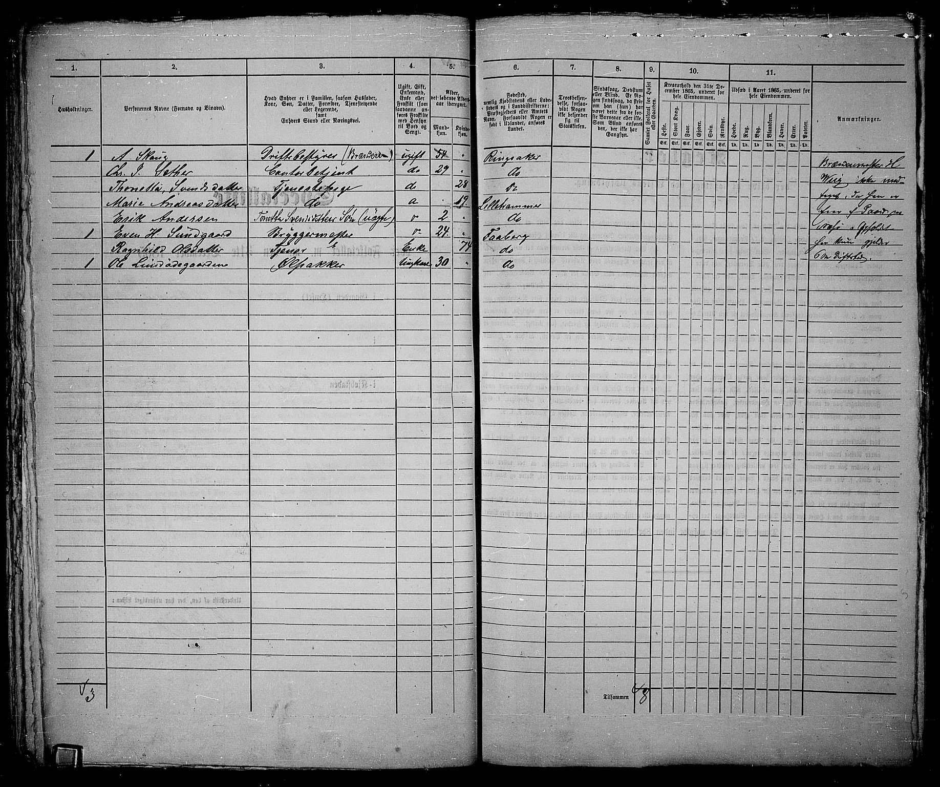 RA, Folketelling 1865 for 0501B Fåberg prestegjeld, Lillehammer kjøpstad, 1865, s. 83