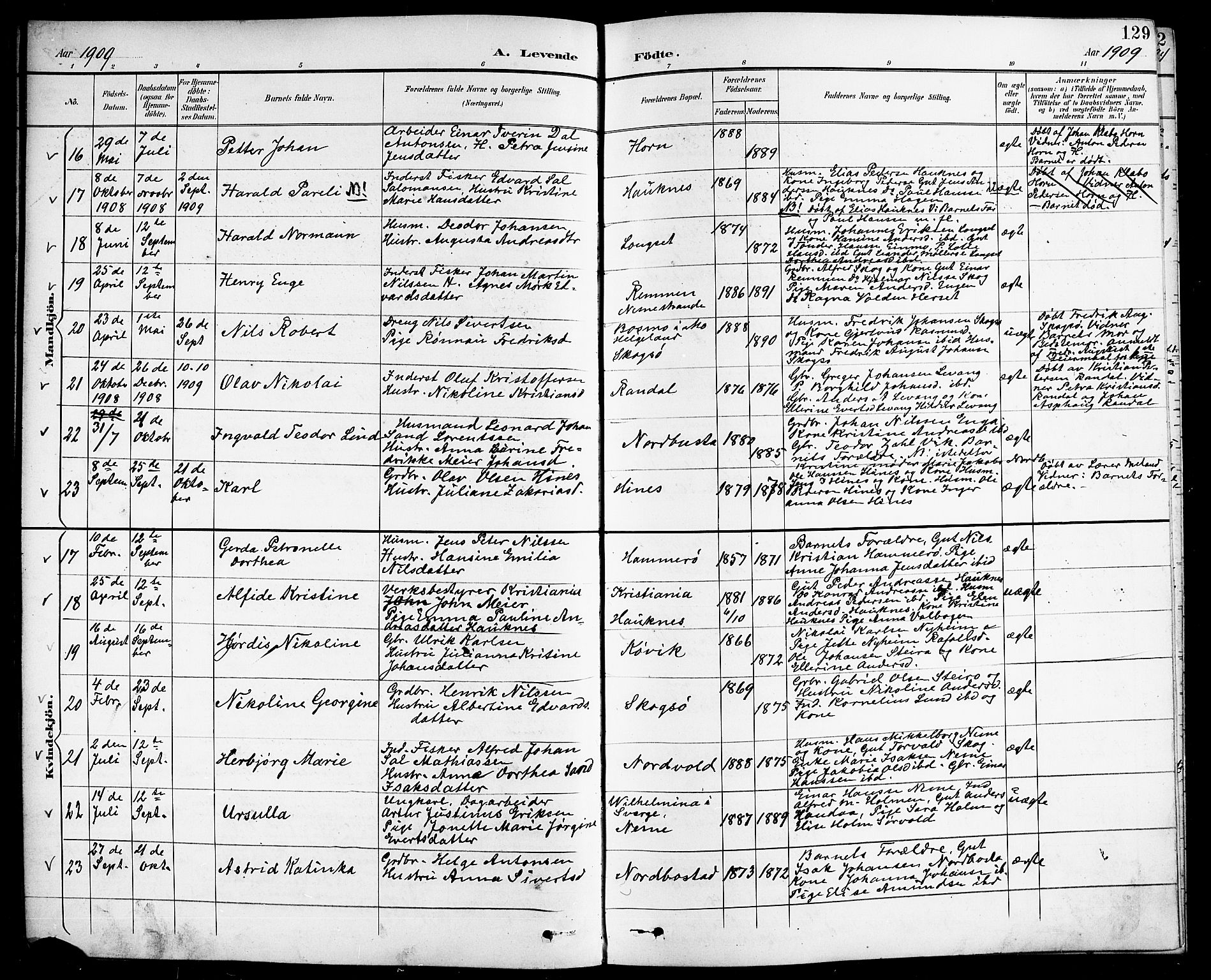 Ministerialprotokoller, klokkerbøker og fødselsregistre - Nordland, AV/SAT-A-1459/838/L0559: Klokkerbok nr. 838C06, 1893-1910, s. 129