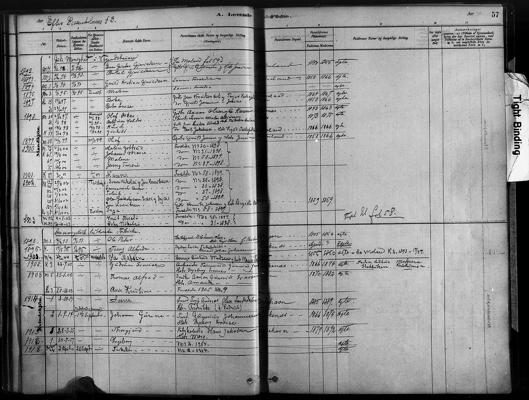 Austre Moland sokneprestkontor, SAK/1111-0001/F/Fa/Fab/L0001: Ministerialbok nr. A 1, 1878-1898, s. 57