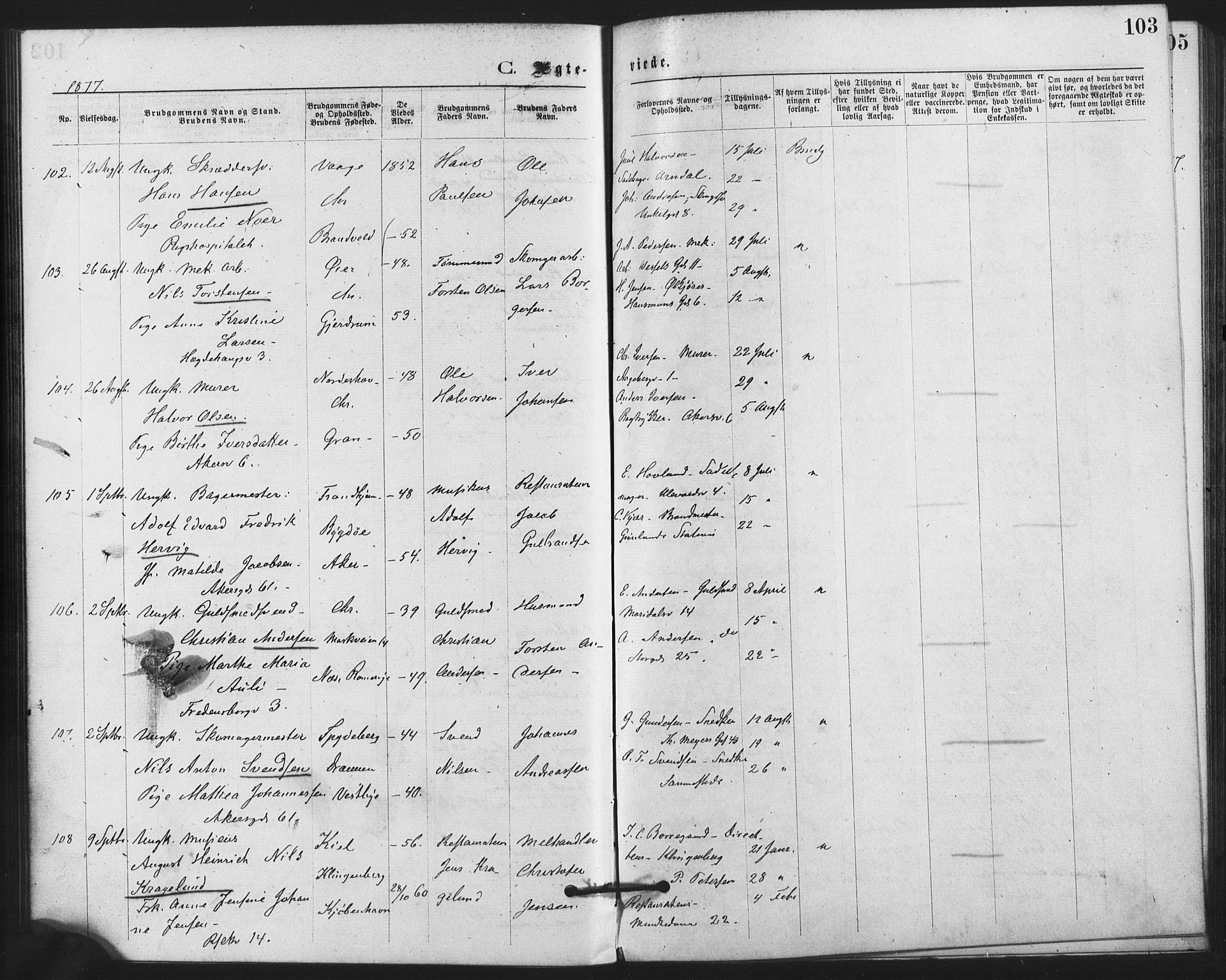 Trefoldighet prestekontor Kirkebøker, AV/SAO-A-10882/F/Fc/L0002: Ministerialbok nr. III 2, 1874-1881, s. 103