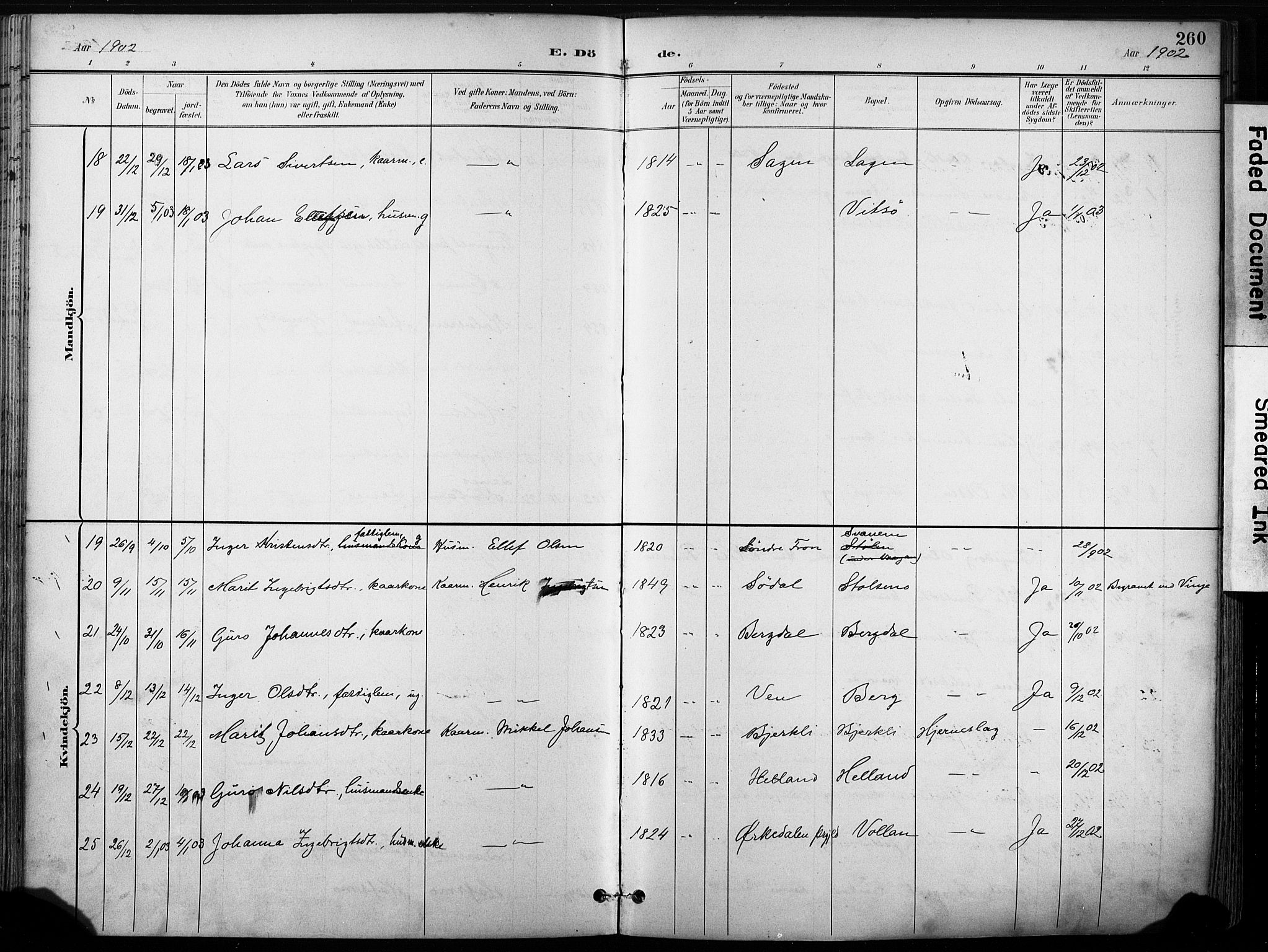 Ministerialprotokoller, klokkerbøker og fødselsregistre - Sør-Trøndelag, AV/SAT-A-1456/630/L0497: Ministerialbok nr. 630A10, 1896-1910, s. 260