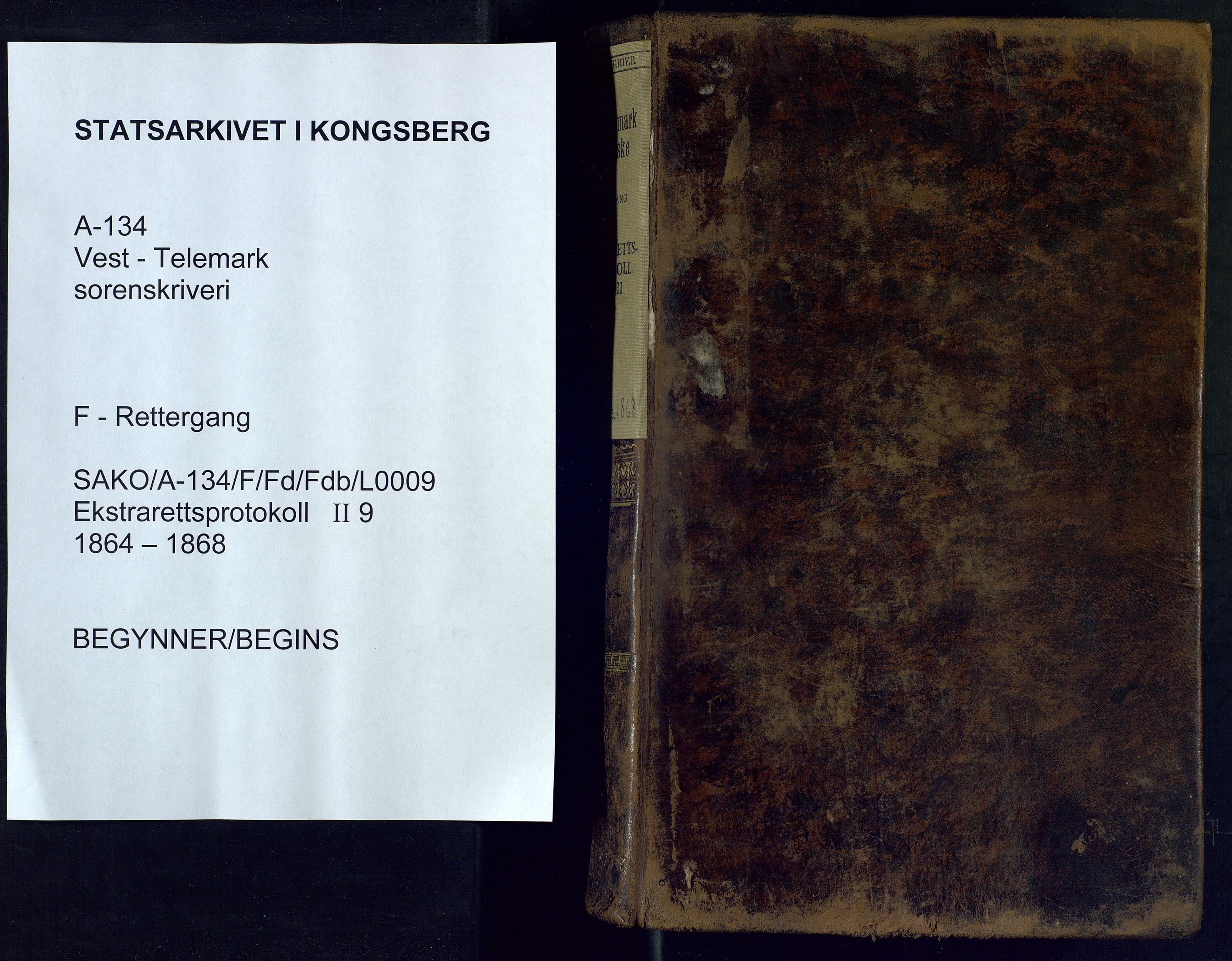 Vest-Telemark sorenskriveri, AV/SAKO-A-134/F/Fd/Fdb/L0009: Ekstrarettsprotokoll, 1864-1868