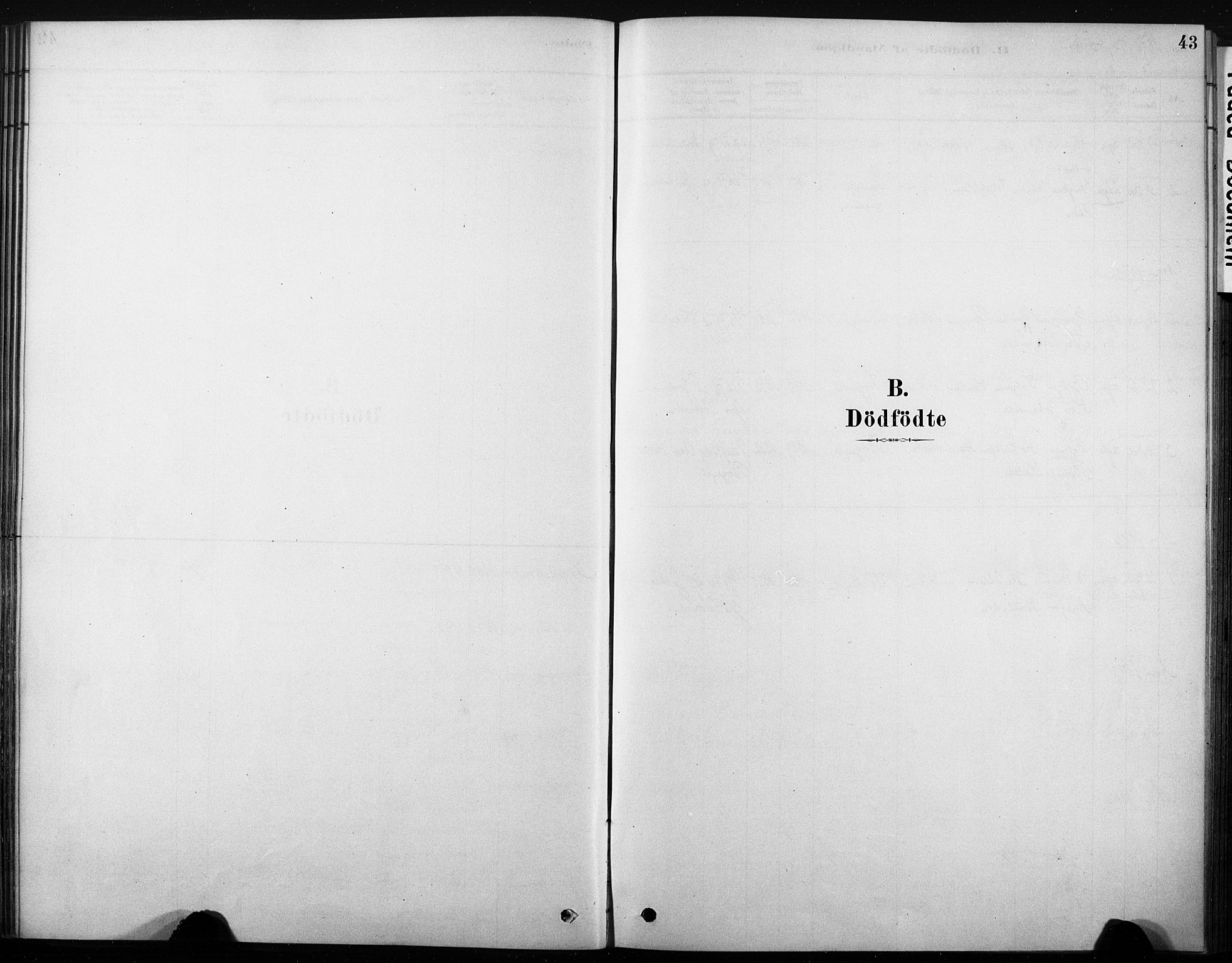 Nore kirkebøker, SAKO/A-238/F/Fb/L0001: Ministerialbok nr. II 1, 1878-1886, s. 43