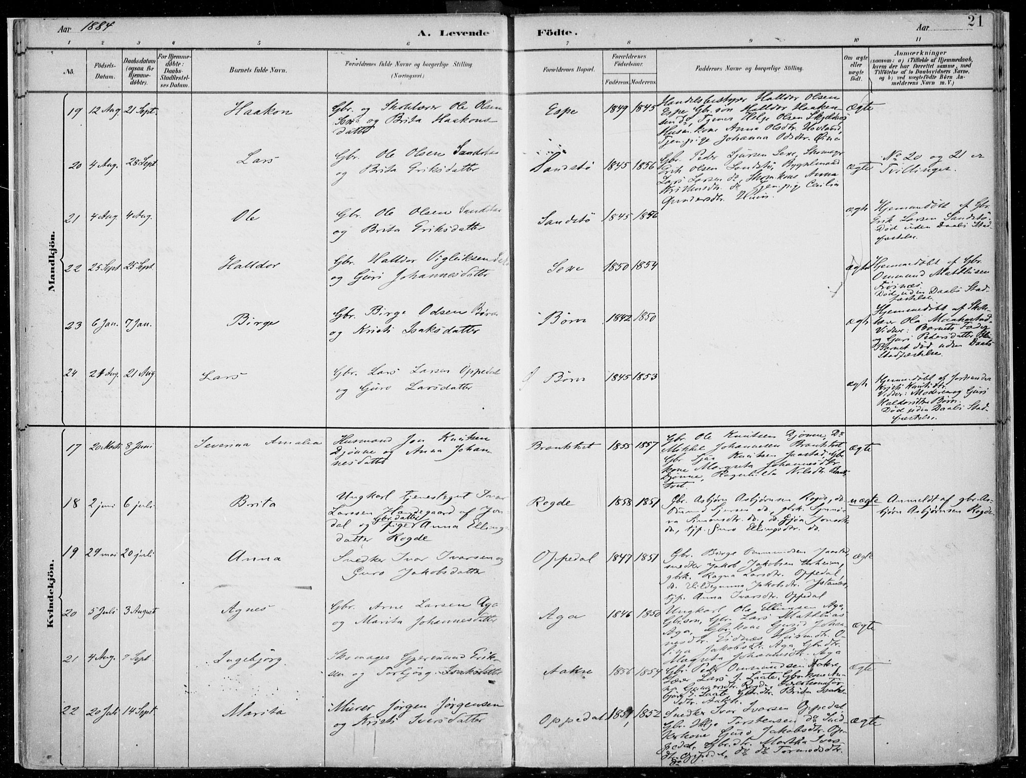 Ullensvang sokneprestembete, AV/SAB-A-78701/H/Haa: Ministerialbok nr. B  1, 1882-1918, s. 21