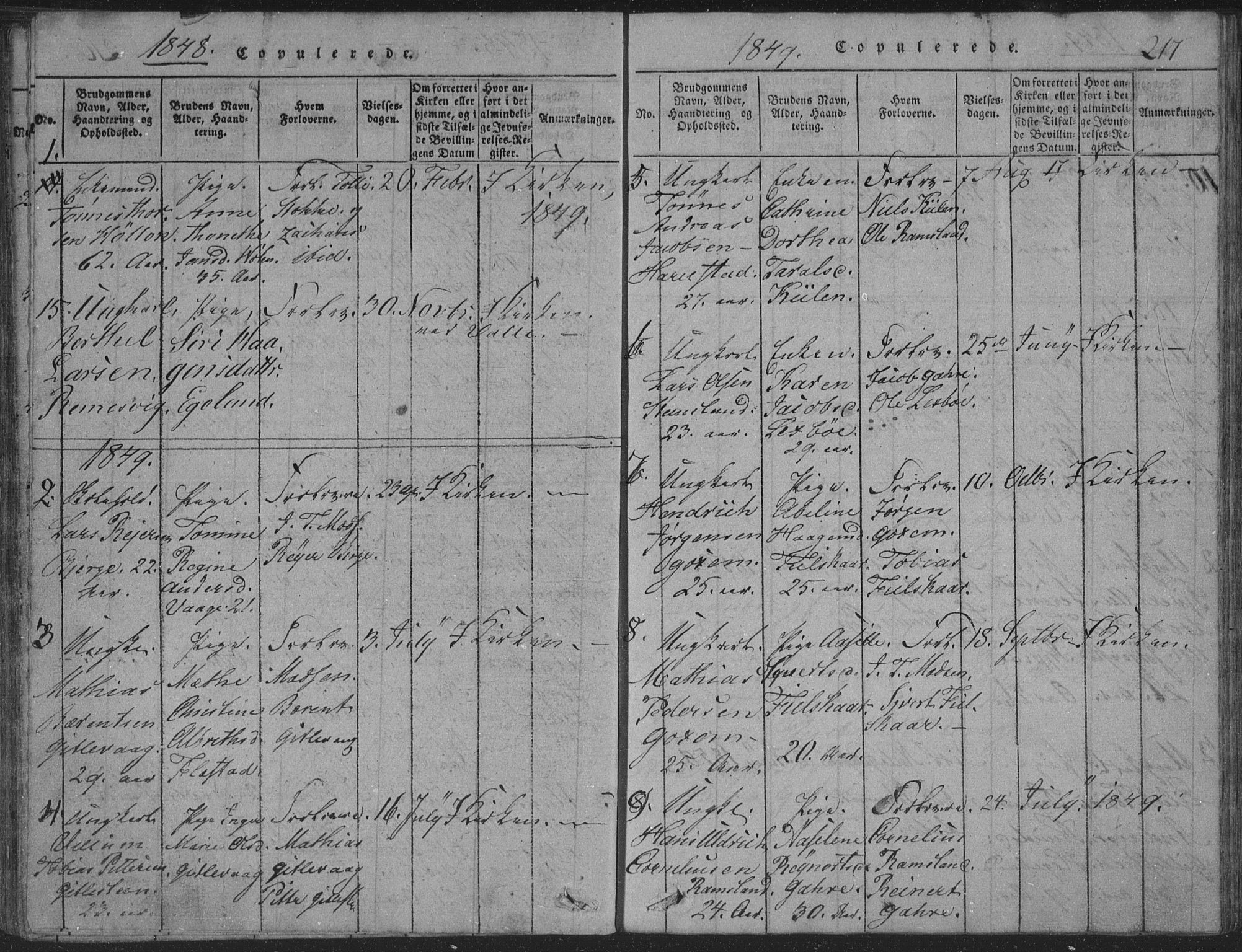 Sør-Audnedal sokneprestkontor, AV/SAK-1111-0039/F/Fb/Fba/L0001: Klokkerbok nr. B 1, 1815-1850, s. 217