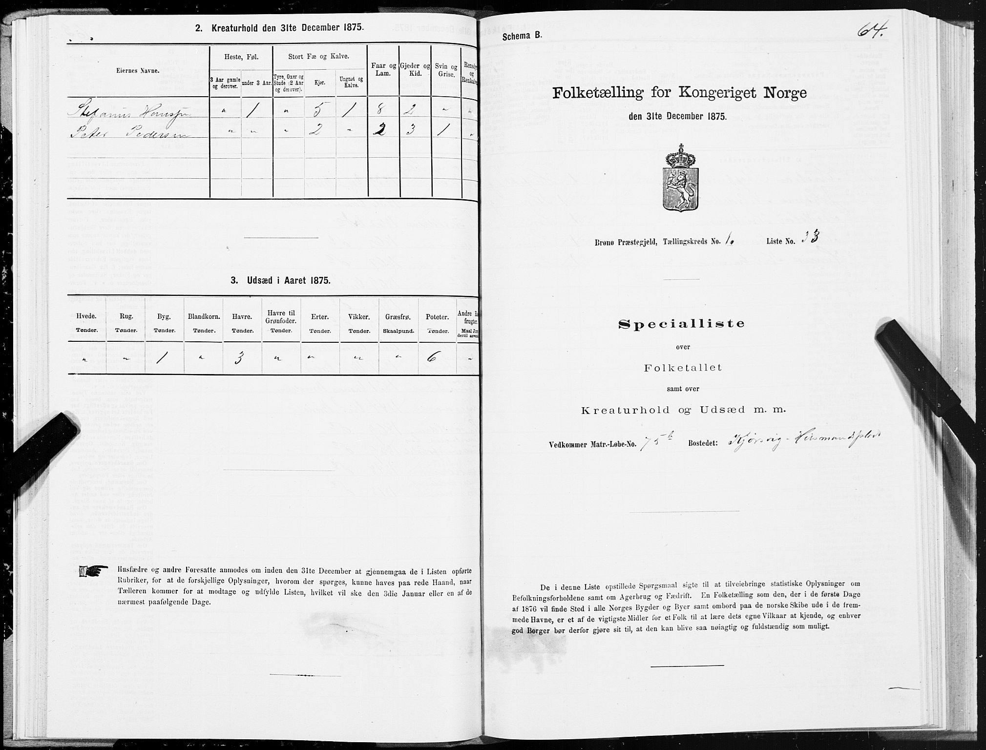 SAT, Folketelling 1875 for 1814P Brønnøy prestegjeld, 1875, s. 1064