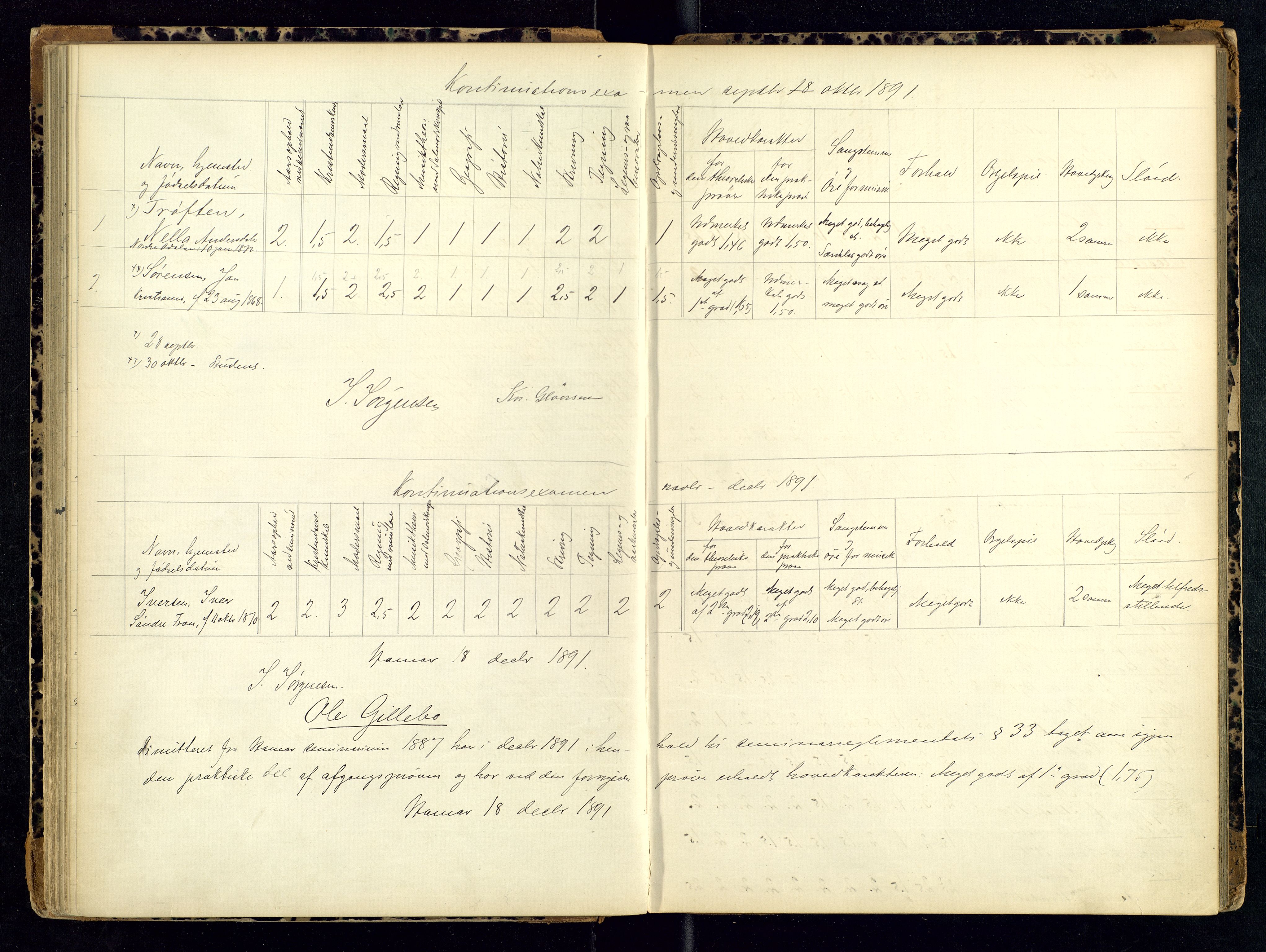 Hamar lærerhøgskole, AV/SAH-SKOLE-018/H/Ha/L0001: Eksamensprotokoll - lærerprøven, 1869-1892