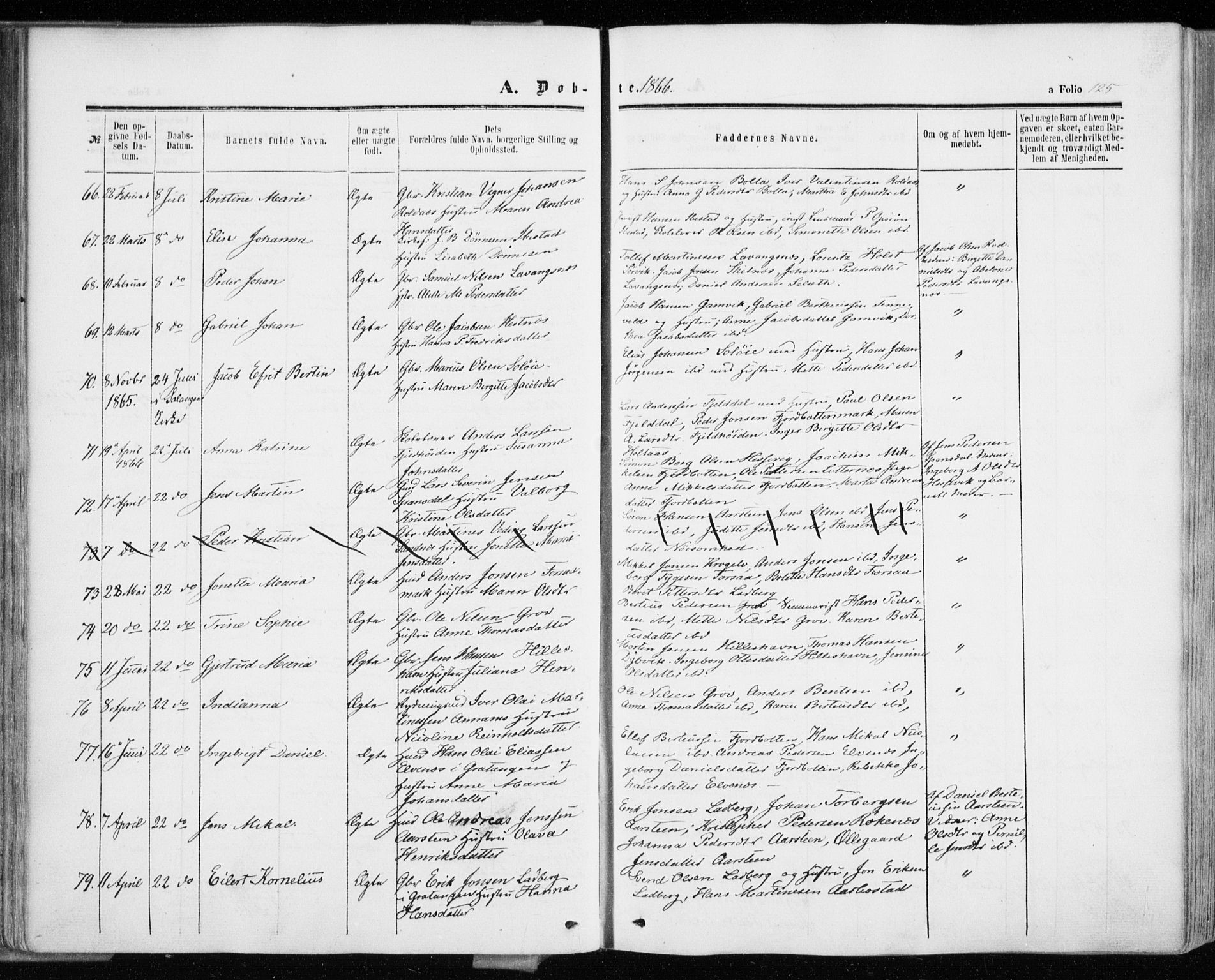 Ibestad sokneprestembete, AV/SATØ-S-0077/H/Ha/Haa/L0009kirke: Ministerialbok nr. 9, 1859-1868, s. 125