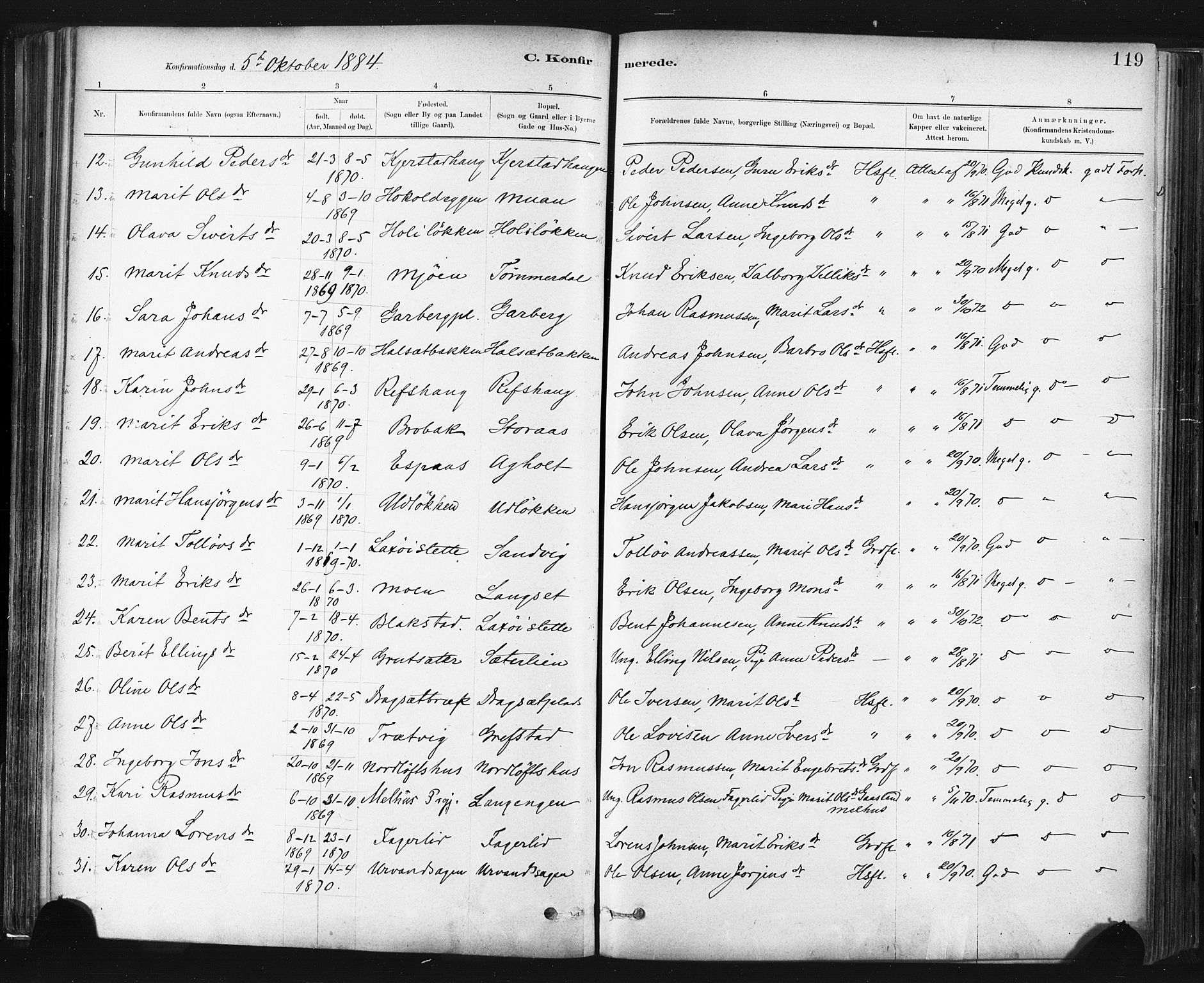 Ministerialprotokoller, klokkerbøker og fødselsregistre - Sør-Trøndelag, SAT/A-1456/672/L0857: Ministerialbok nr. 672A09, 1882-1893, s. 119