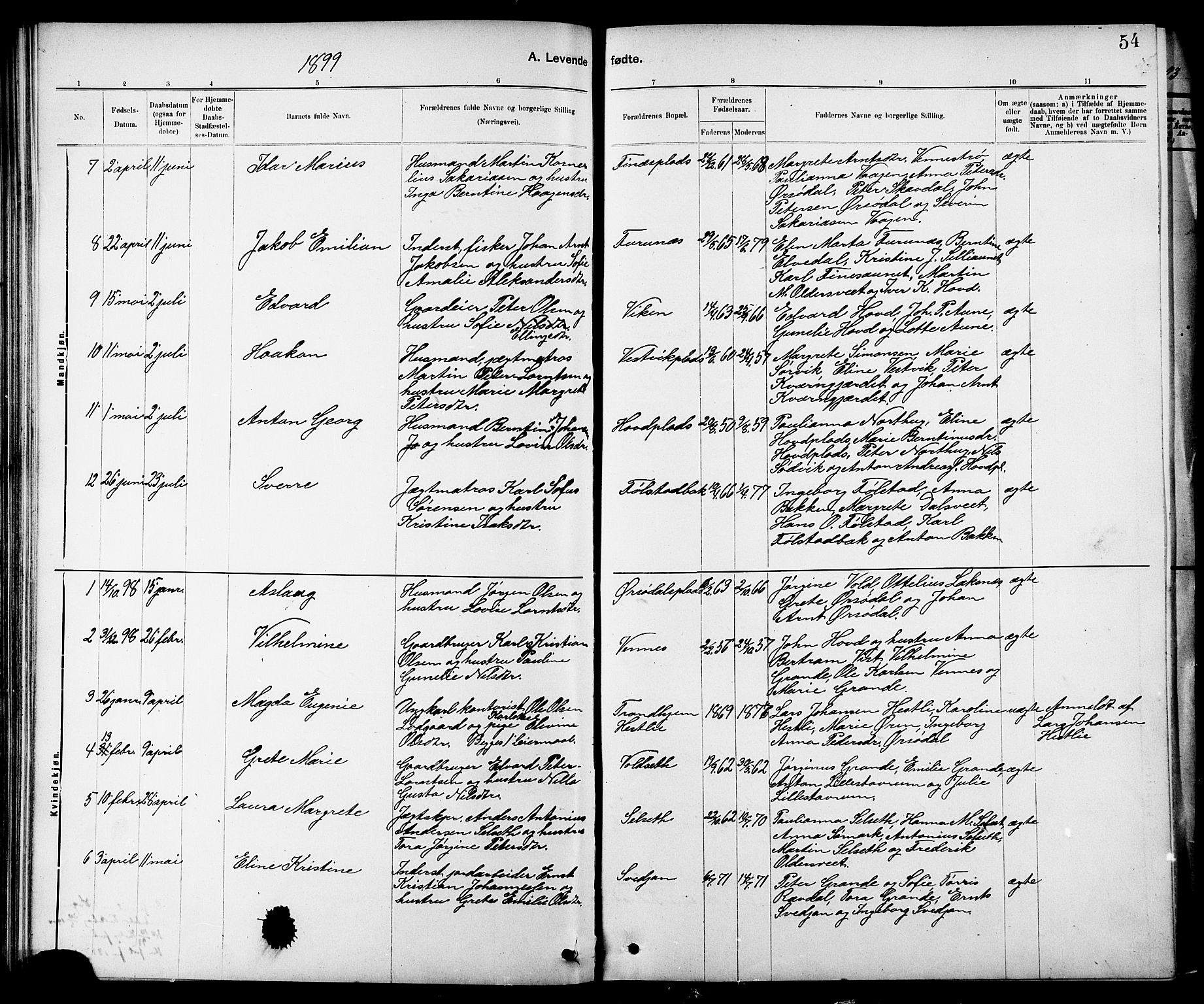 Ministerialprotokoller, klokkerbøker og fødselsregistre - Nord-Trøndelag, SAT/A-1458/744/L0423: Klokkerbok nr. 744C02, 1886-1905, s. 54
