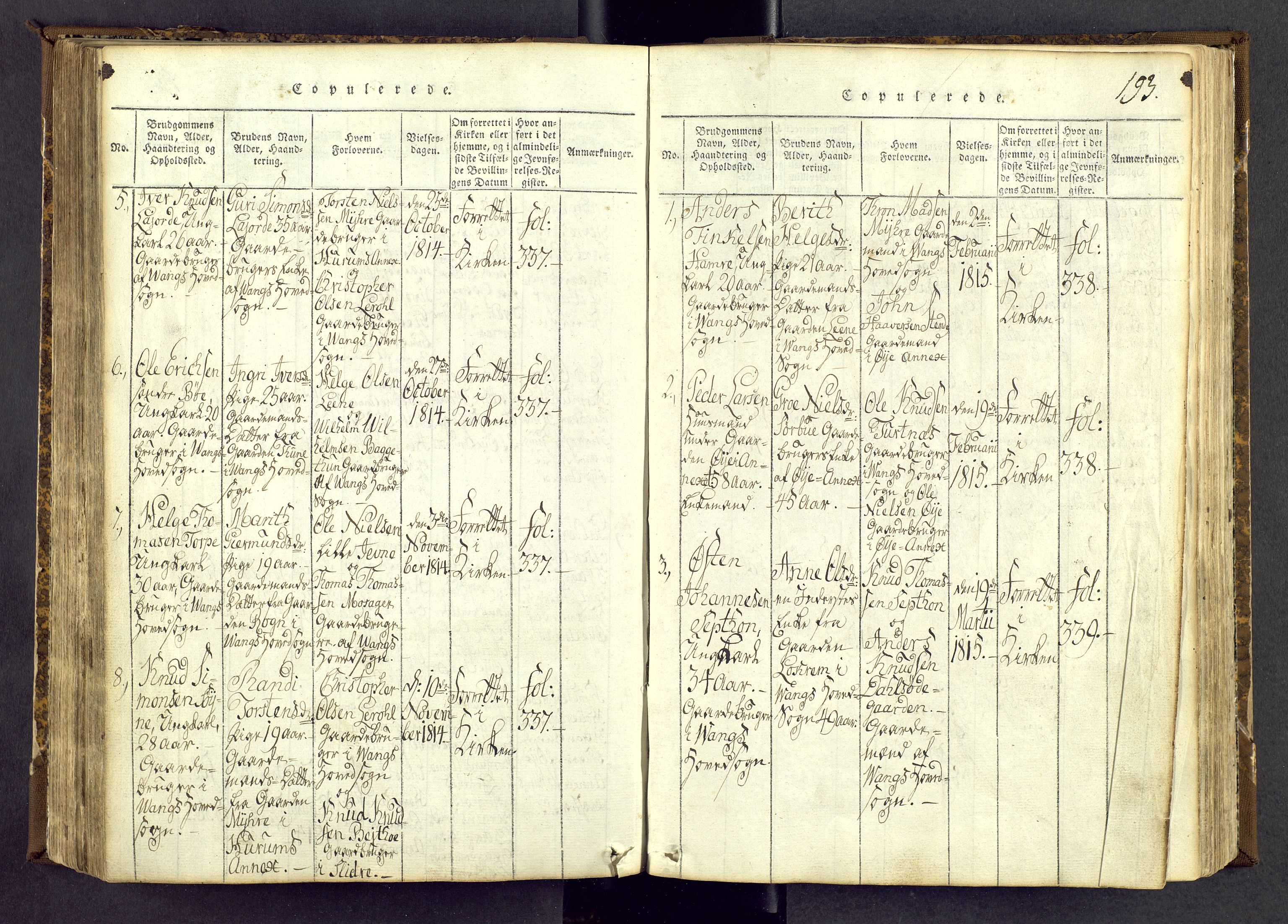 Vang prestekontor, Valdres, AV/SAH-PREST-140/H/Ha/L0004: Ministerialbok nr. 4, 1814-1831, s. 193
