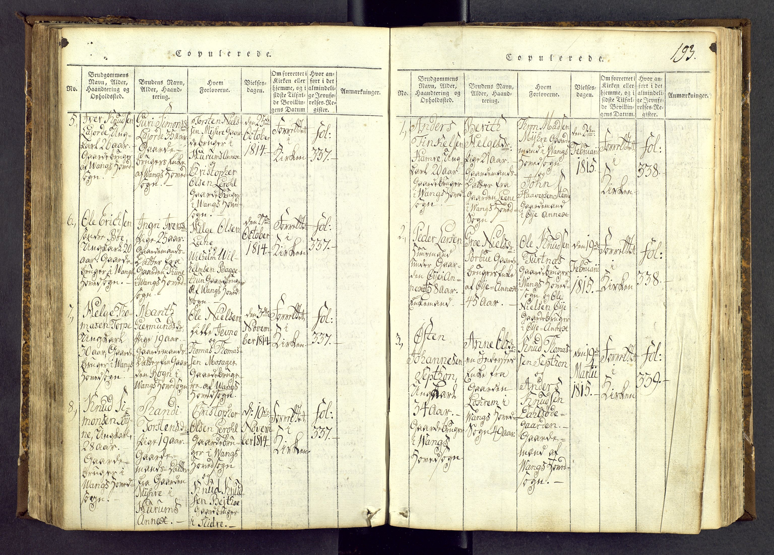 Vang prestekontor, Valdres, AV/SAH-PREST-140/H/Ha/L0004: Ministerialbok nr. 4, 1814-1831, s. 193