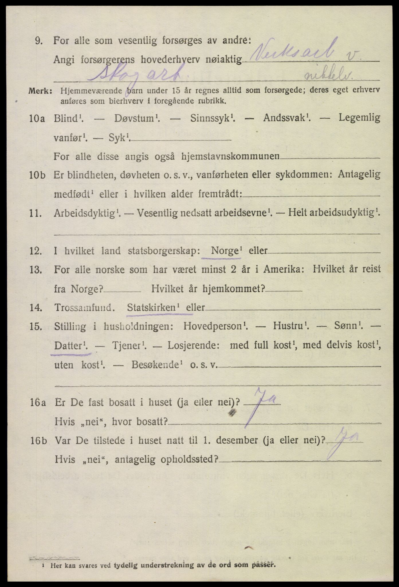 SAK, Folketelling 1920 for 0936 Hornnes herred, 1920, s. 1004