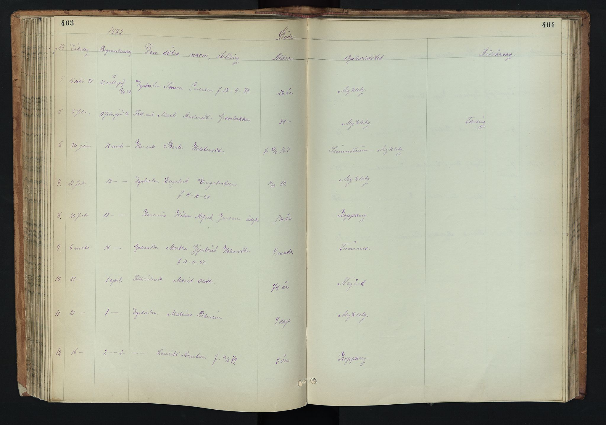 Stor-Elvdal prestekontor, AV/SAH-PREST-052/H/Ha/Hab/L0002: Klokkerbok nr. 2, 1860-1894, s. 463-464