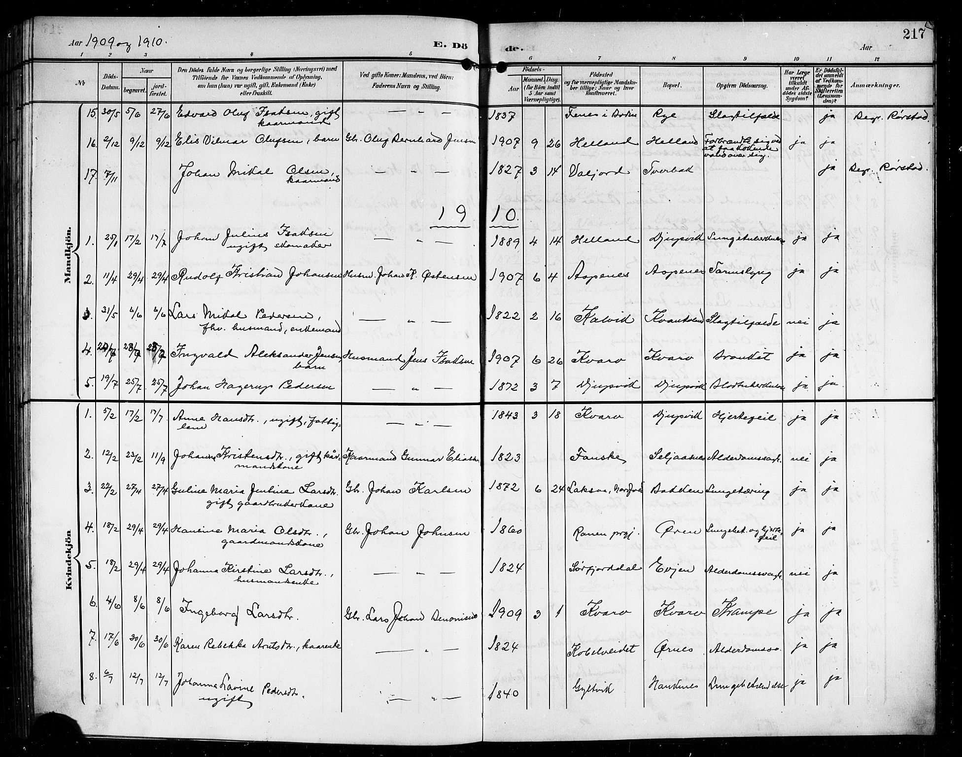 Ministerialprotokoller, klokkerbøker og fødselsregistre - Nordland, AV/SAT-A-1459/854/L0786: Klokkerbok nr. 854C02, 1901-1912, s. 217