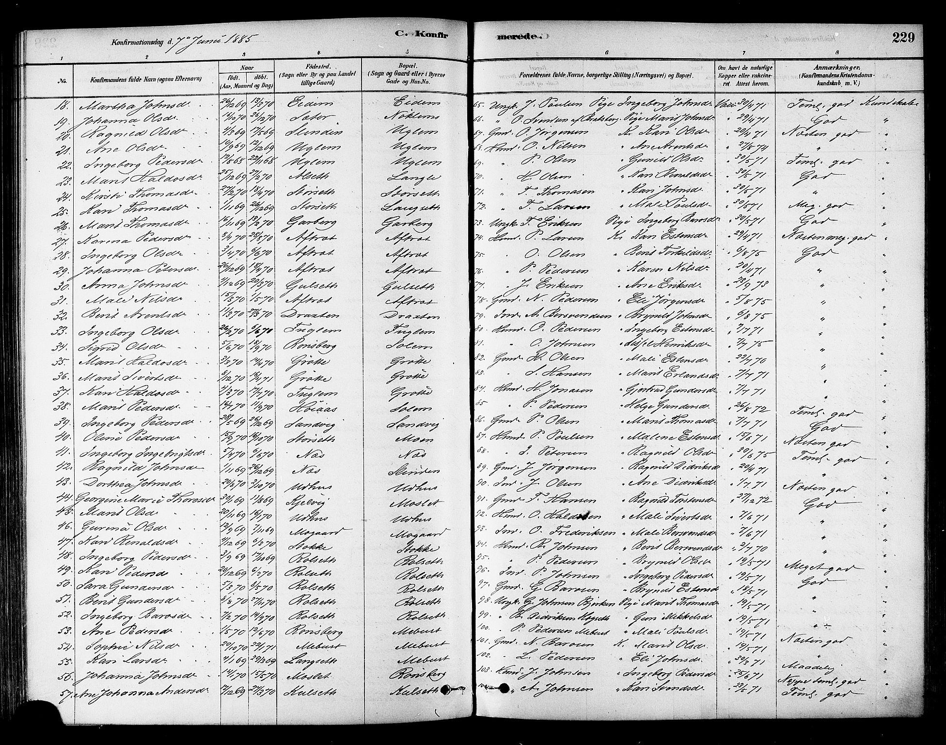Ministerialprotokoller, klokkerbøker og fødselsregistre - Sør-Trøndelag, SAT/A-1456/695/L1148: Ministerialbok nr. 695A08, 1878-1891, s. 229