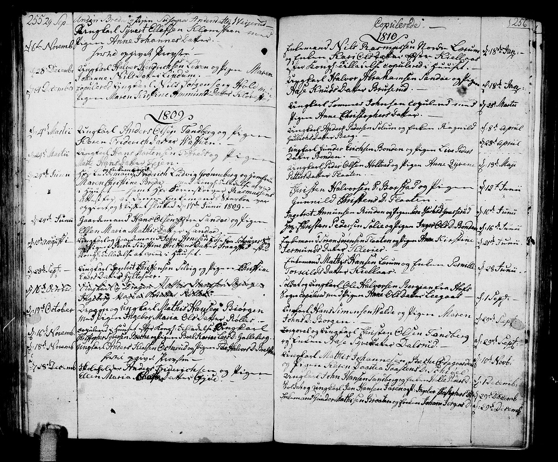 Sande Kirkebøker, AV/SAKO-A-53/F/Fa/L0002: Ministerialbok nr. 2, 1804-1814, s. 255-256