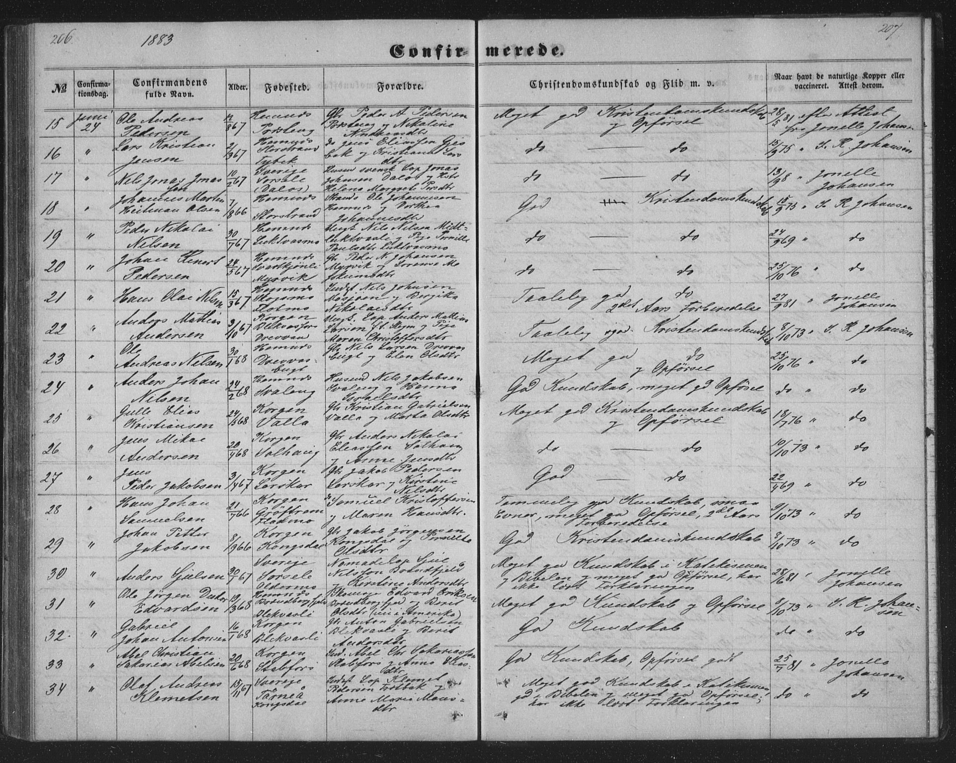 Ministerialprotokoller, klokkerbøker og fødselsregistre - Nordland, AV/SAT-A-1459/825/L0366: Klokkerbok nr. 825C03, 1858-1884, s. 206-207